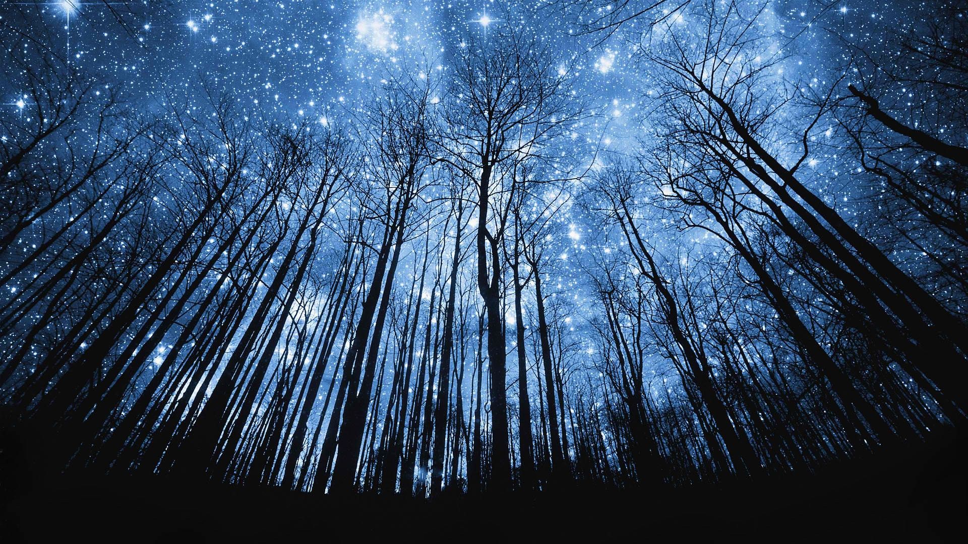 Cielo stellato sopra foresta notturna, 1920x1080 Full HD, PC Desktop