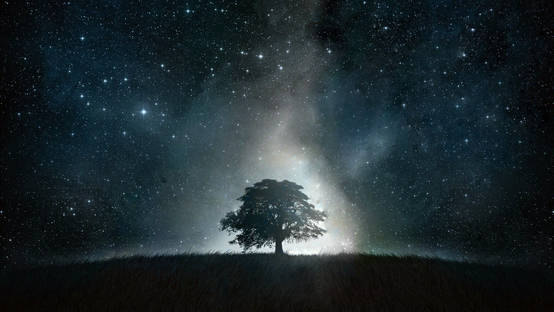 Albero solitario cielo stellato, 1920x1080 Full HD 1080p, PC Desktop