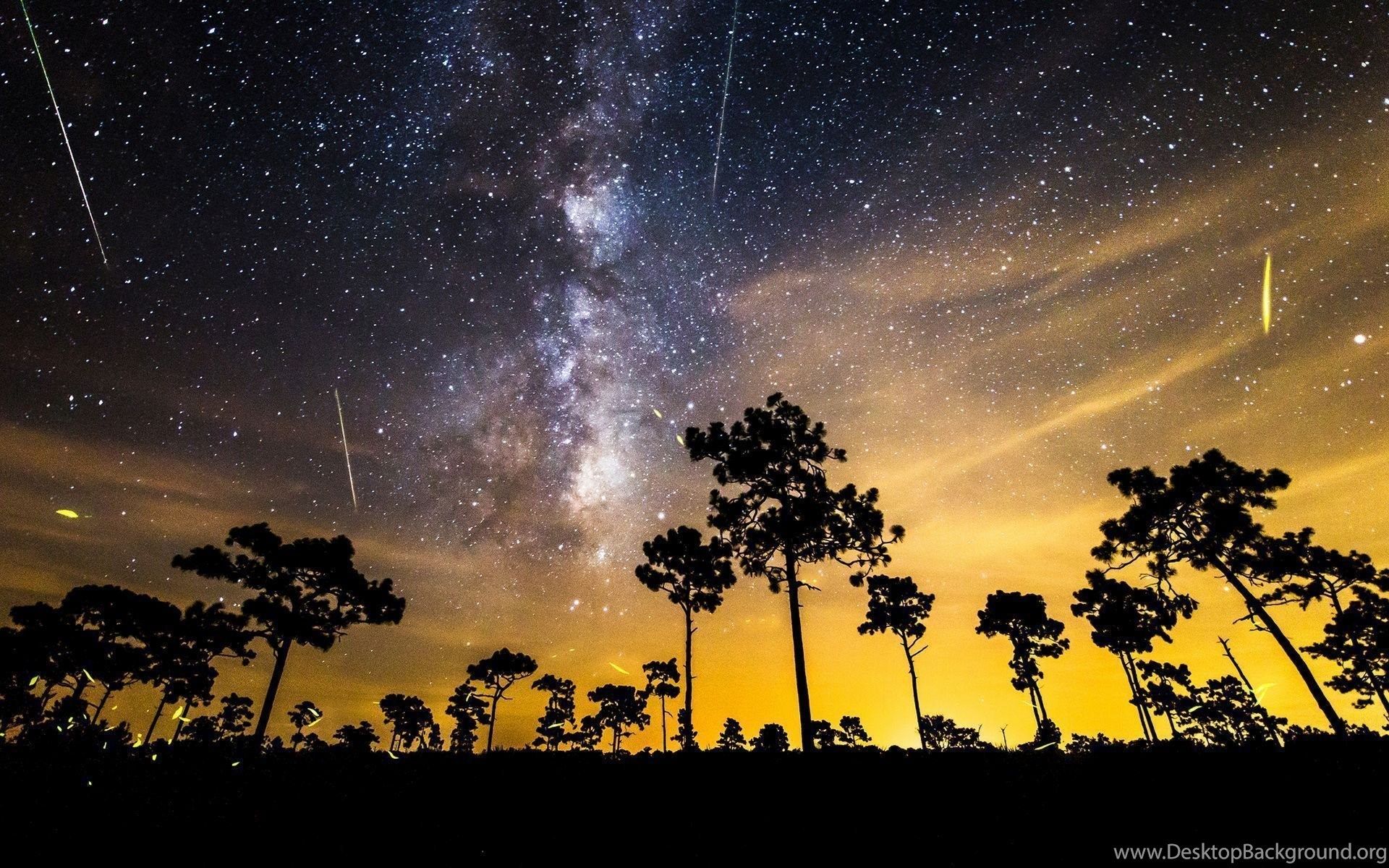 Via Lattea con silhouette alberi, 1920x1200 WUXGA, Desktop
