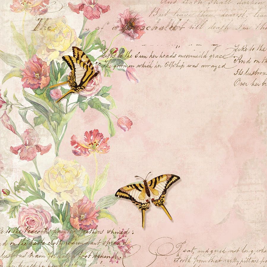 Fiori acquerello e farfalle vintage, 900x900 HD, PC Desktop