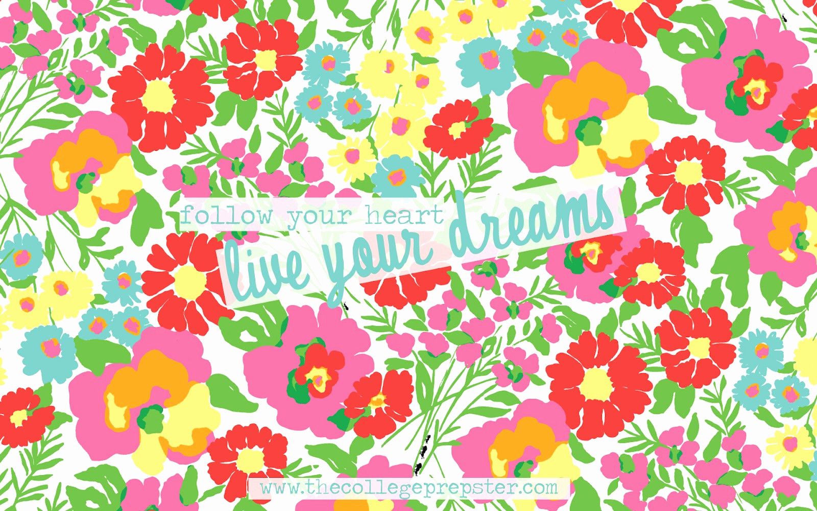 Fiori colorati con scritta motivazionale, 1600x1000 HD Ready, Desktop