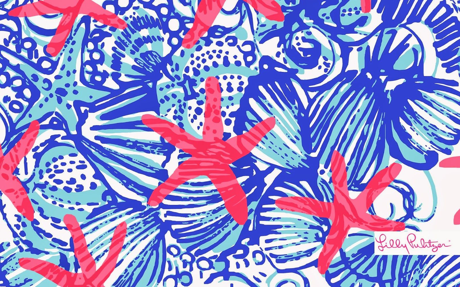 Stelle marine e conchiglie blu, 1600x1001 900p, PC Desktop
