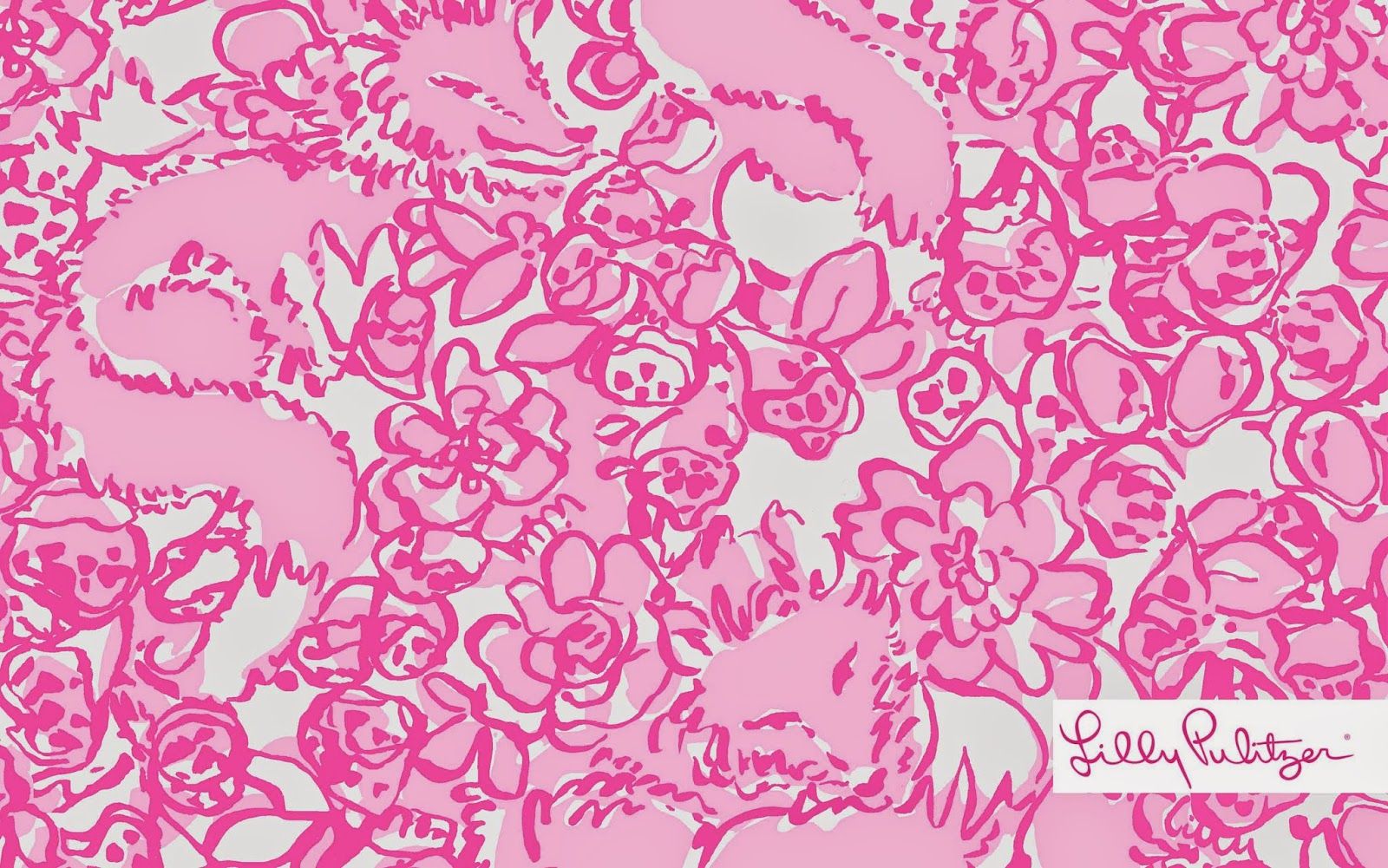 Lilly Pulitzer stampa floreale rosa, 1600x1001 HD, Monitor Gaming