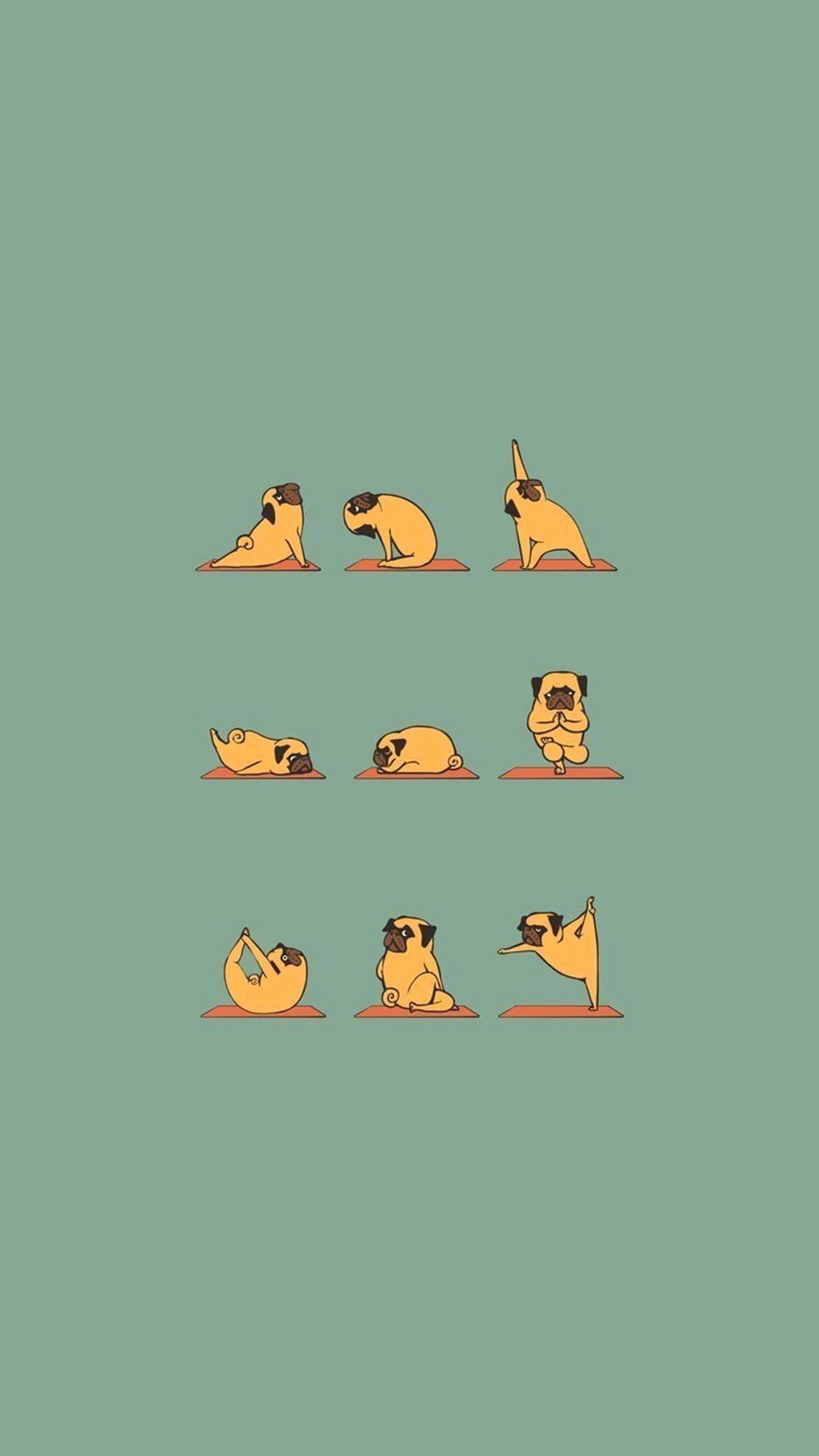 Carlino che fa yoga, 1080x1920 Full HD Verticale, iPhone Pro Max