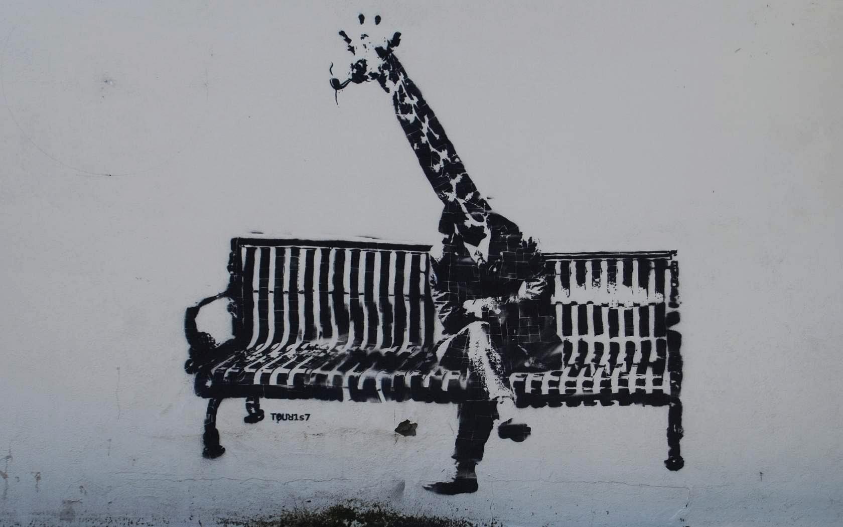 Giraffa panchina street art, 1680x1050 HD, Desktop