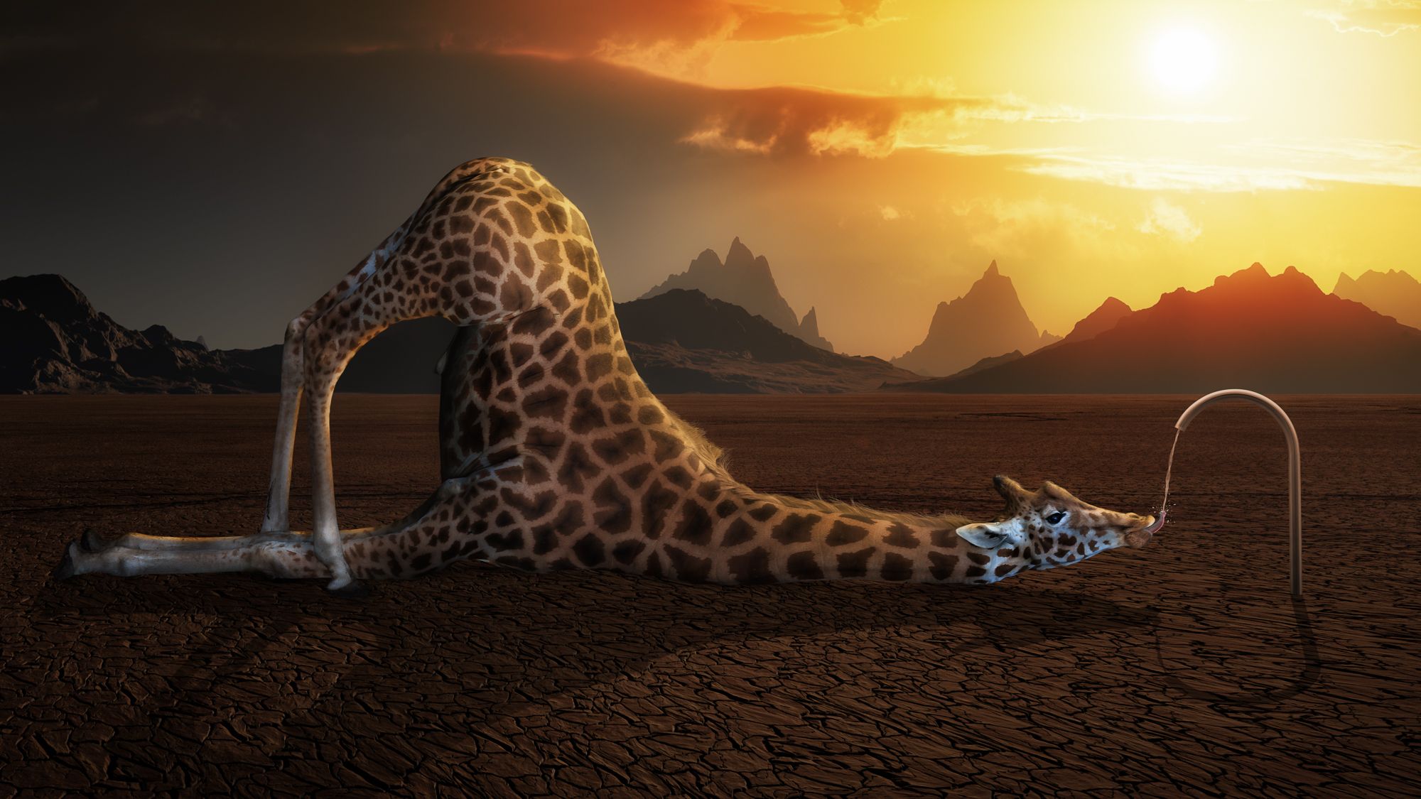 Giraffa surreale deformata deserto, 2000x1125 2K, Desktop