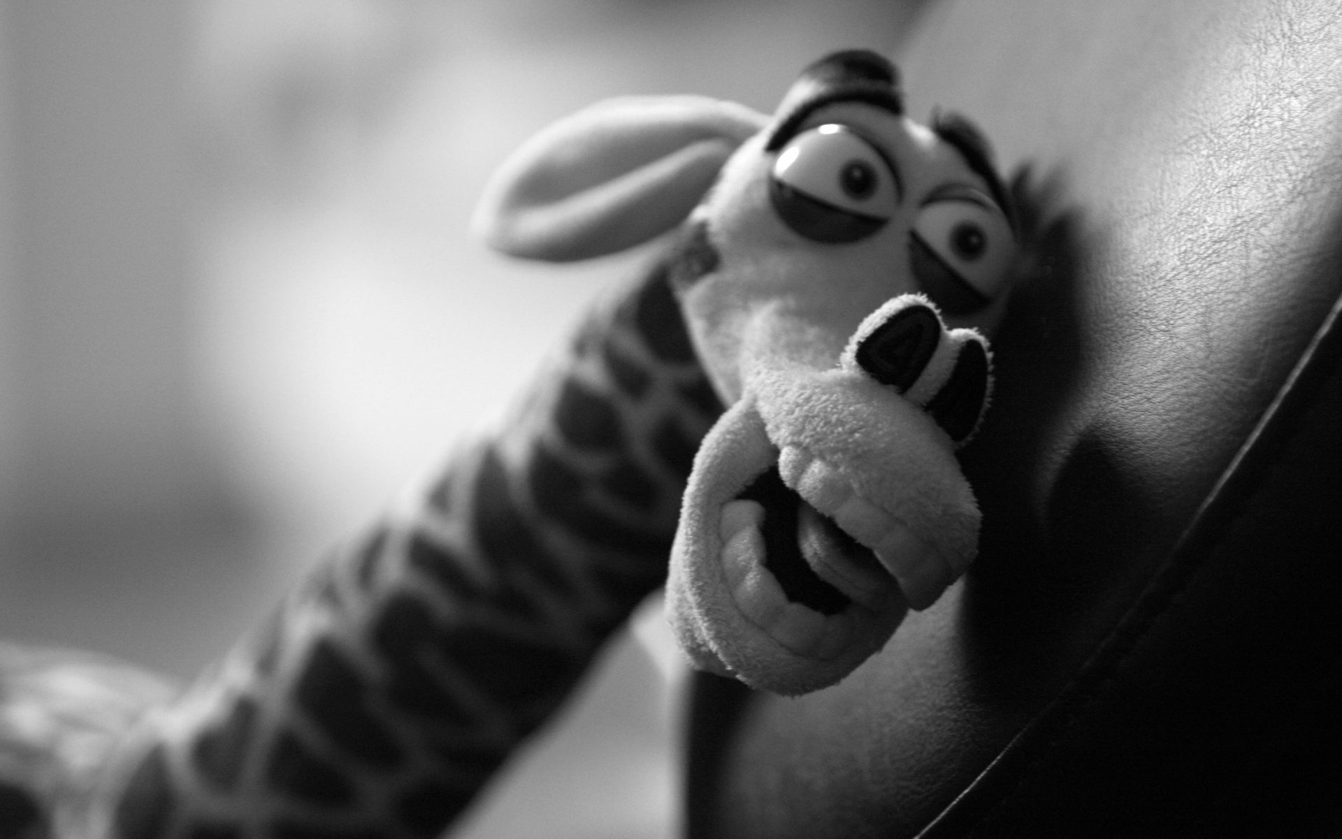 peluche giraffa bianco e nero, 1920x1200 Full HD+ WUXGA, Desktop