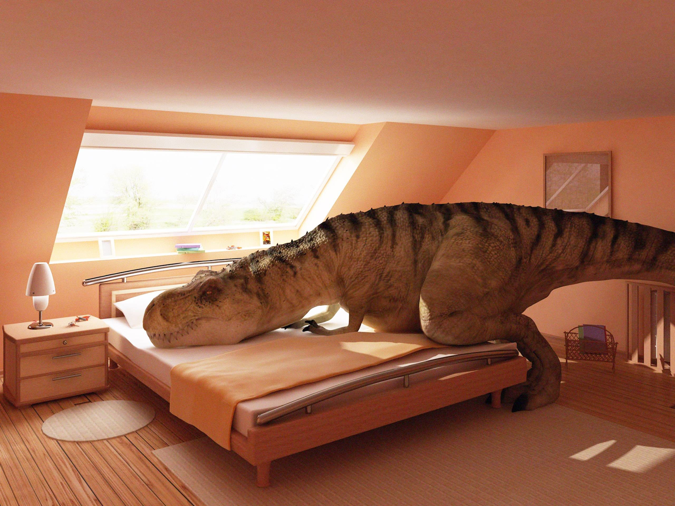 Dinosauro in camera da letto, 2560x1920 2K, Desktop