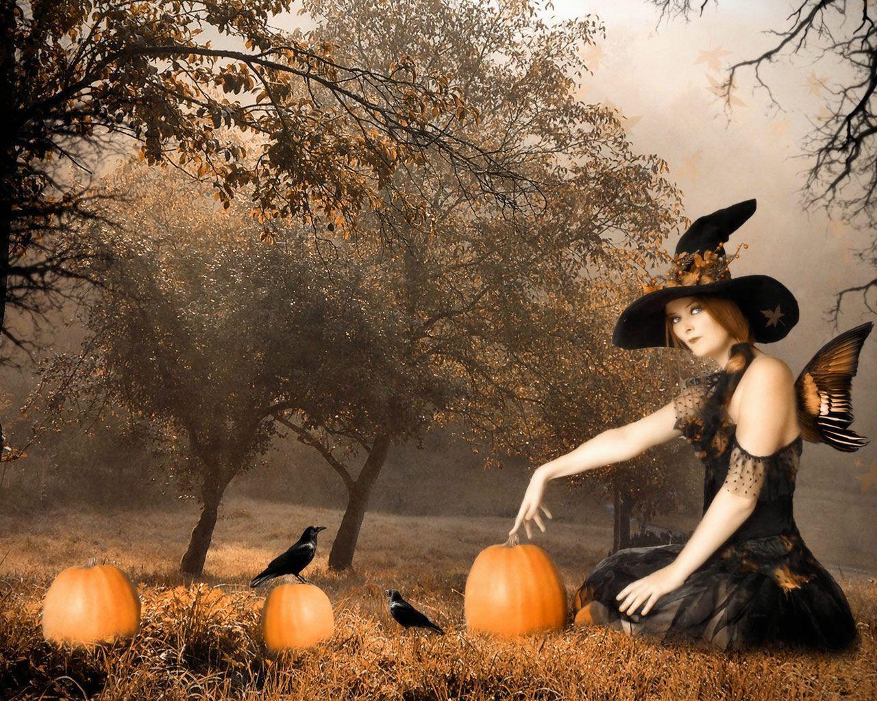 Strega con zucche e corvi, 1280x1024 720p, Laptop