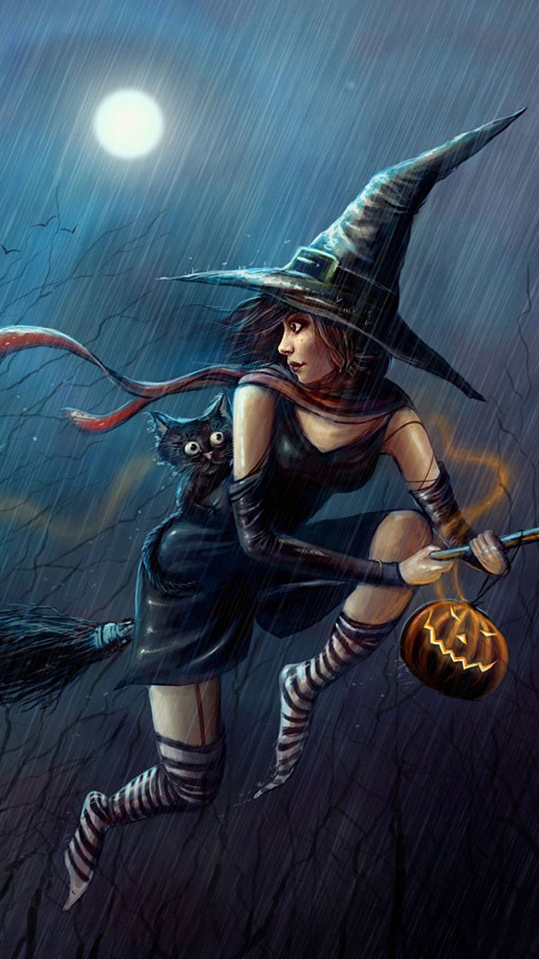 strega su scopa Halloween, 1080x1920 Verticale, Telefono