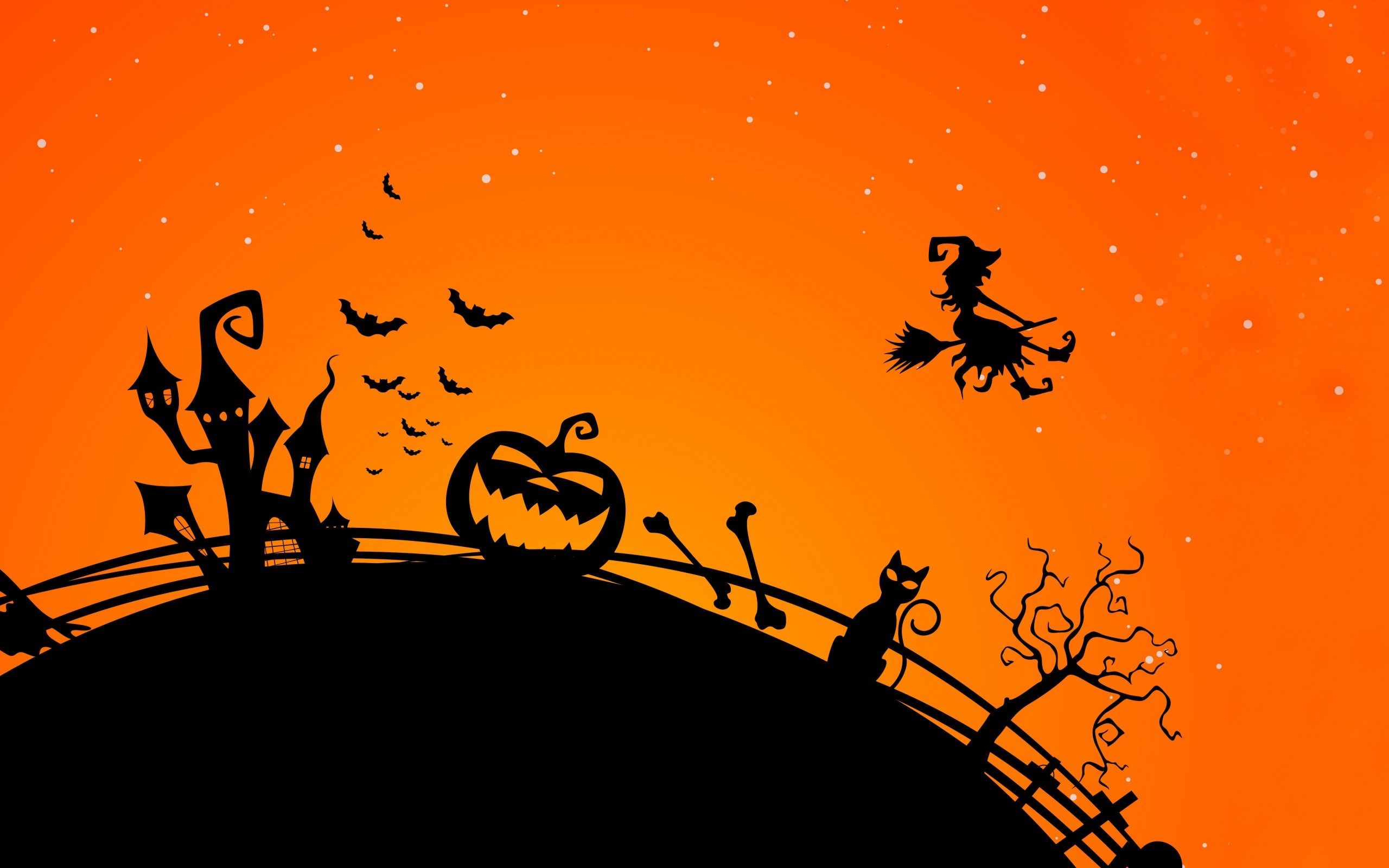 Strega zucca gatto silhouette Halloween, 2560x1600 WQXGA, Laptop