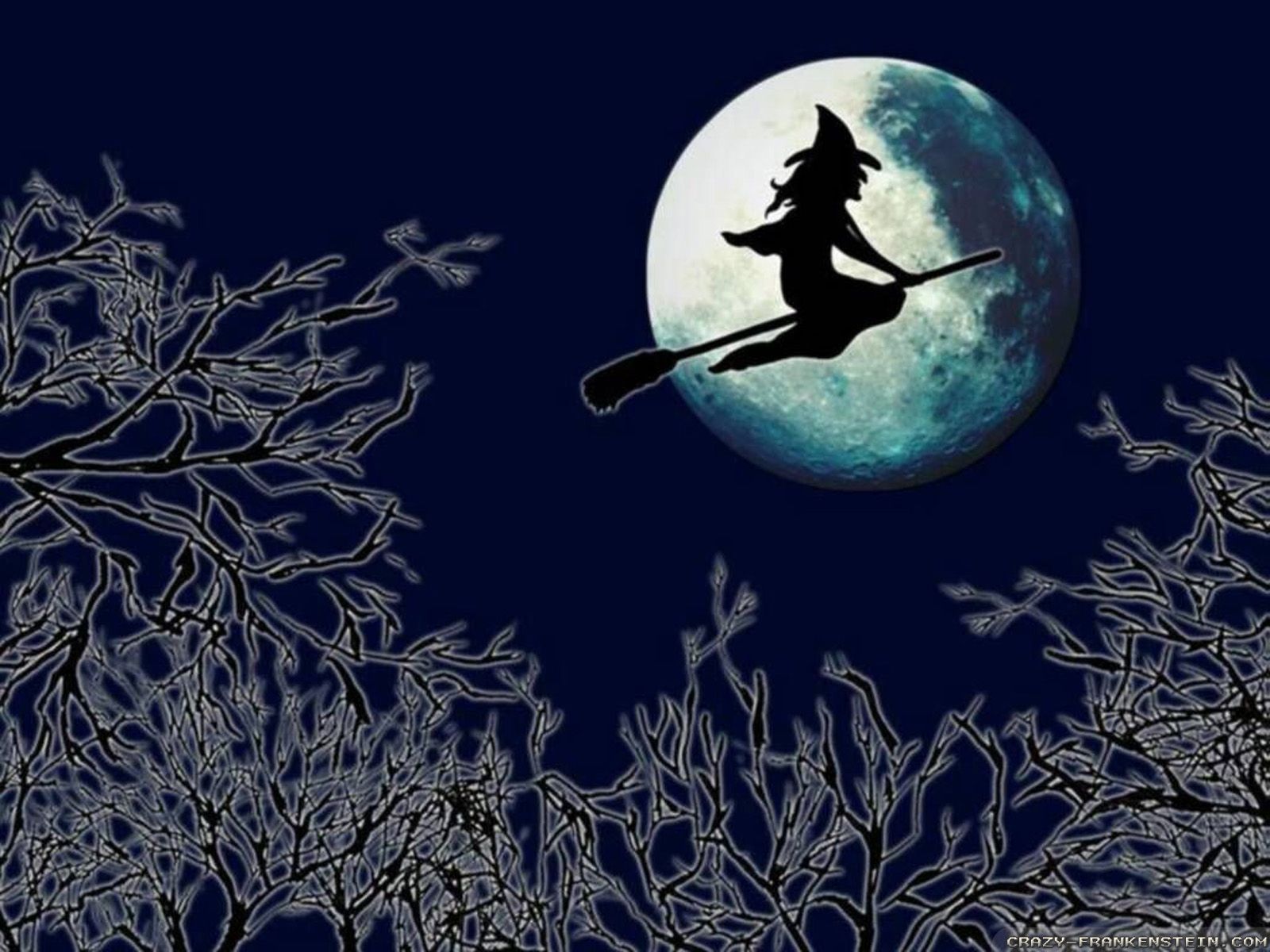 Strega su scopa luna piena, 1600x1200 HD, Desktop