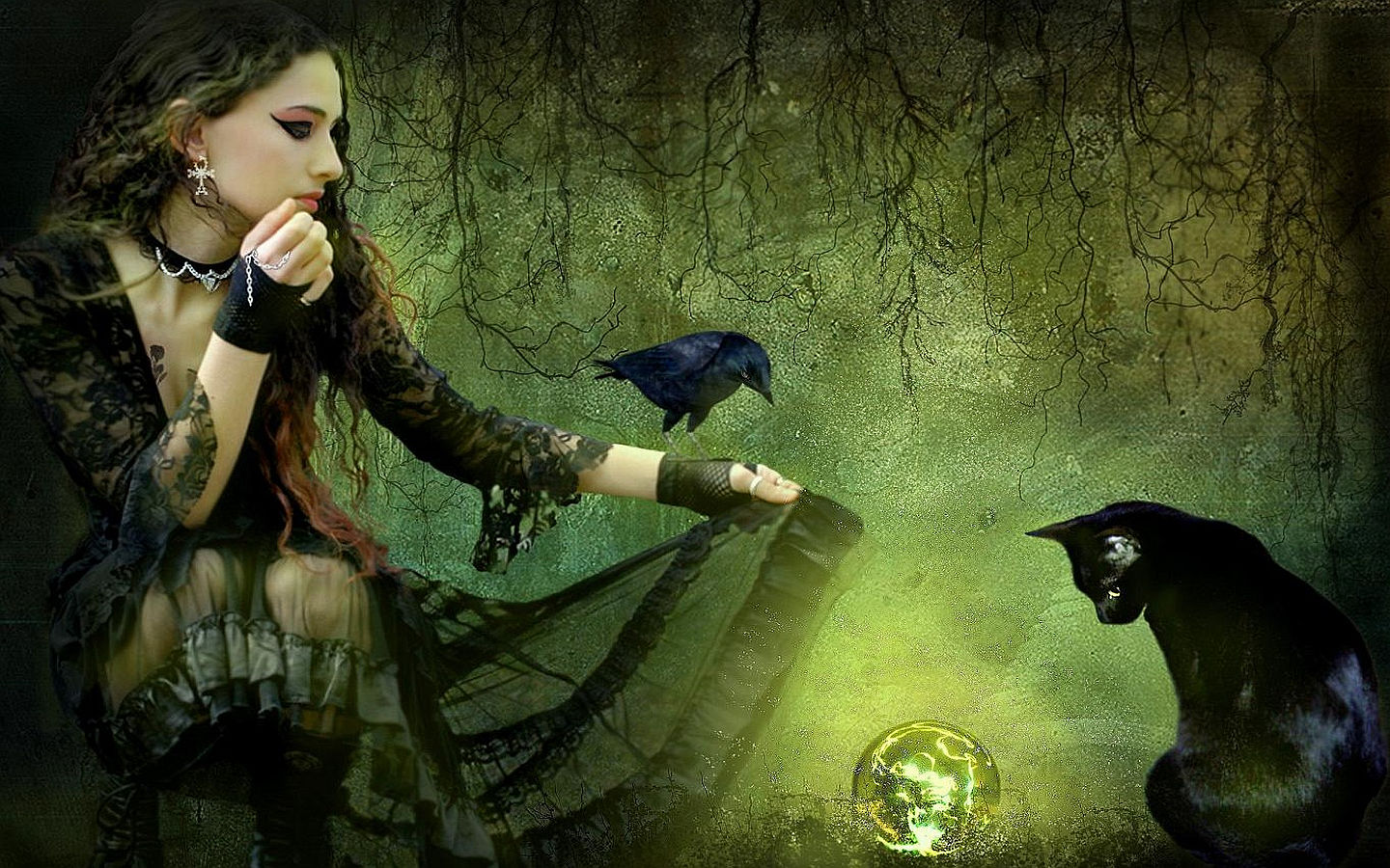 Strega con corvo e gatto nero, 1440x900 HD, Desktop