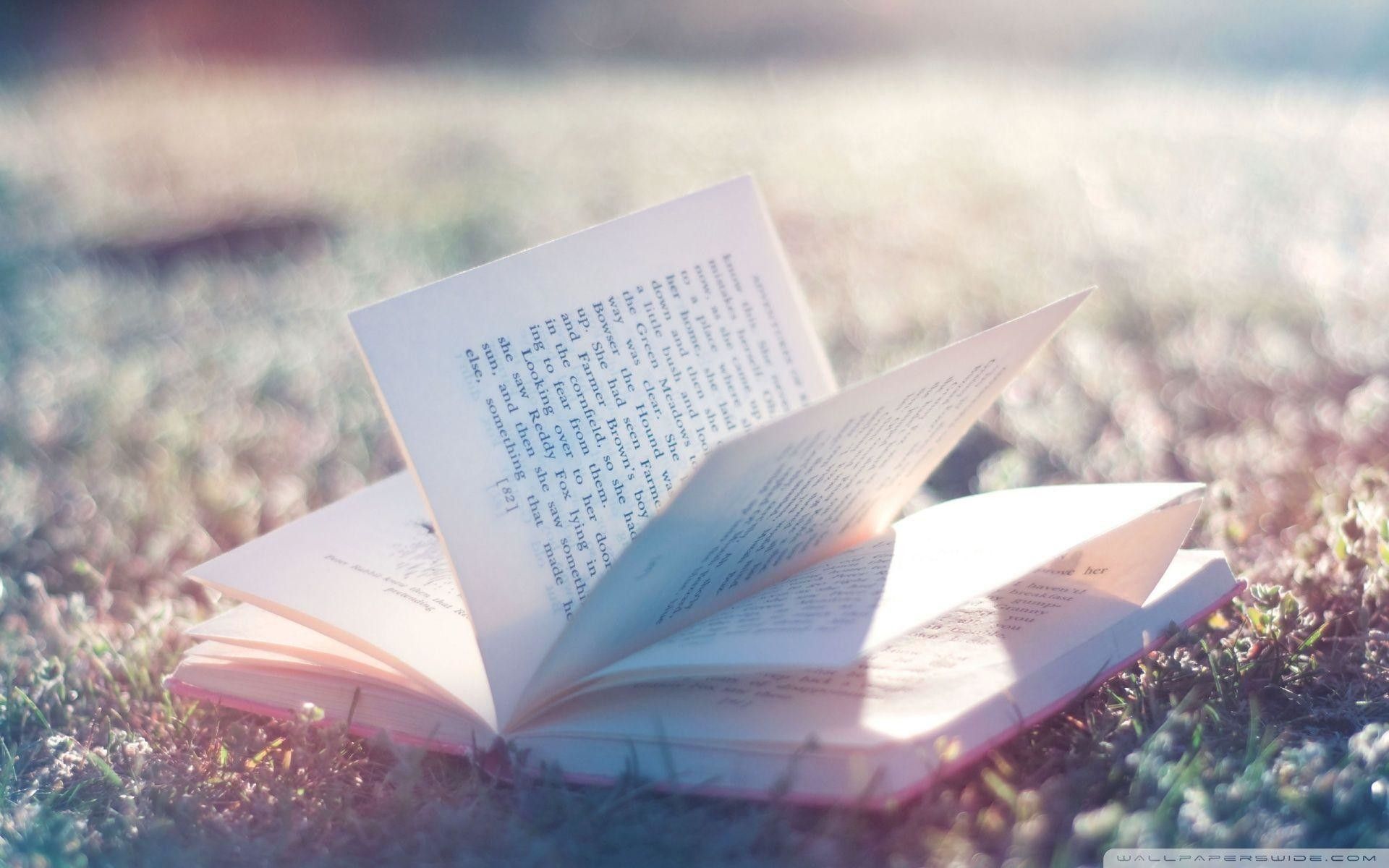Libro aperto sull'erba, 1920x1200 Full HD+, PC Desktop