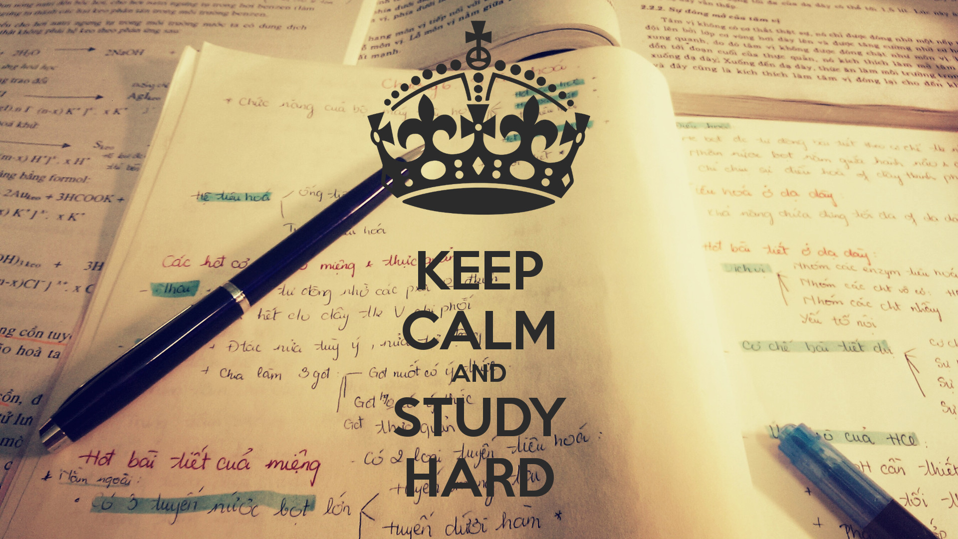 Keep calm and study hard, 1920x1080 Full HD, PC Desktop