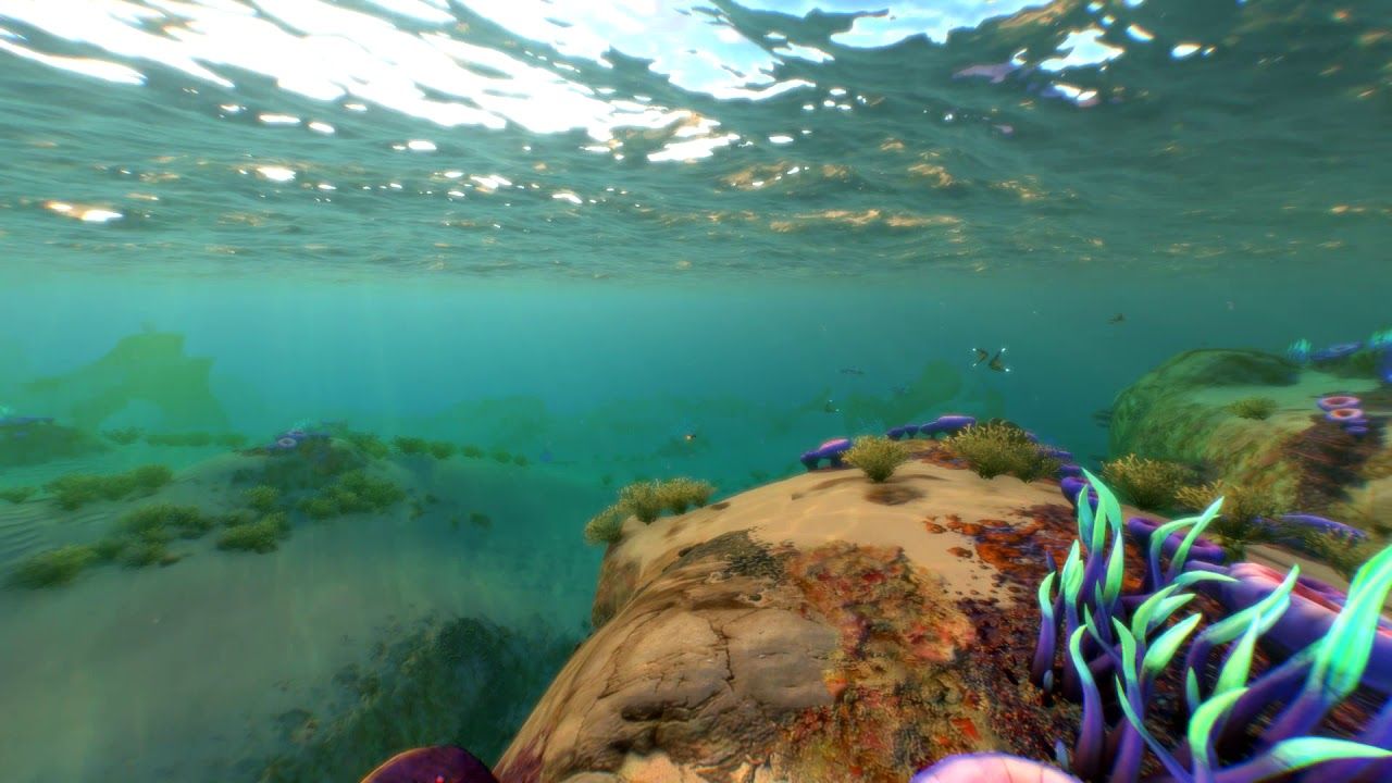 Subnautica scena sottomarina oceano, 1280x720 HD, Desktop