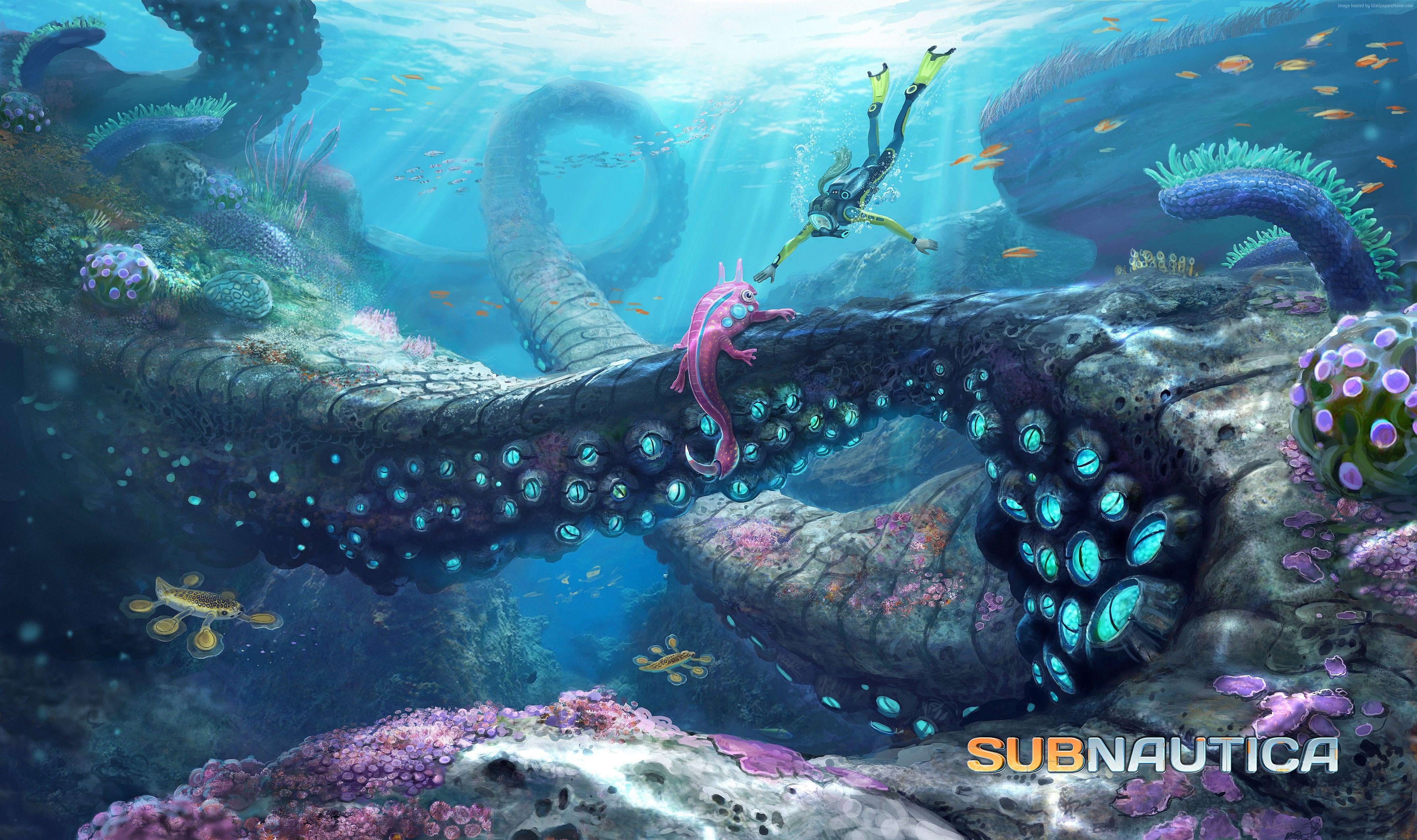 Subnautica creatura marina gigante, 4300x2550 4K, Desktop 4K