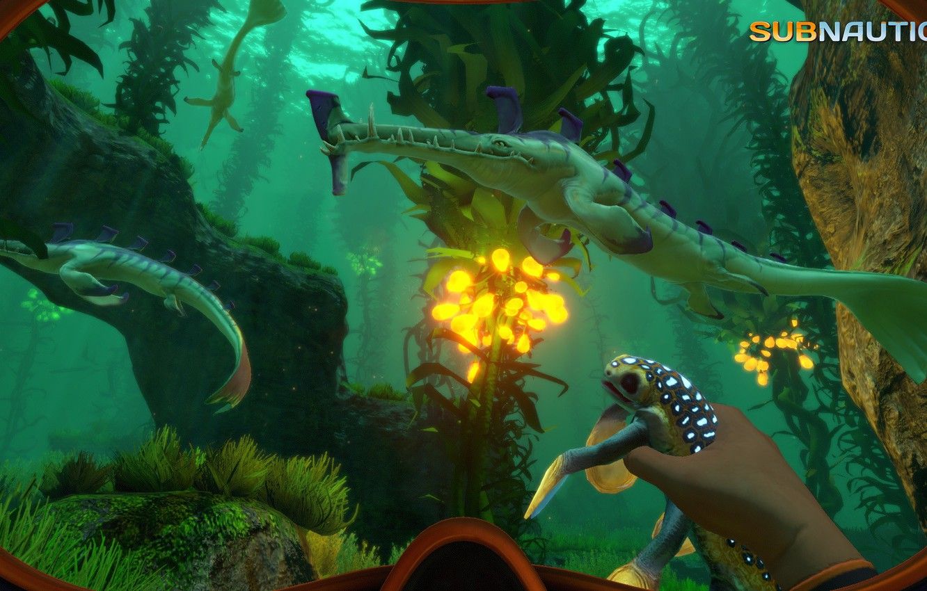 Subnautica sottomarino fondale verde, 1332x850 HD, ROG Asus Laptop