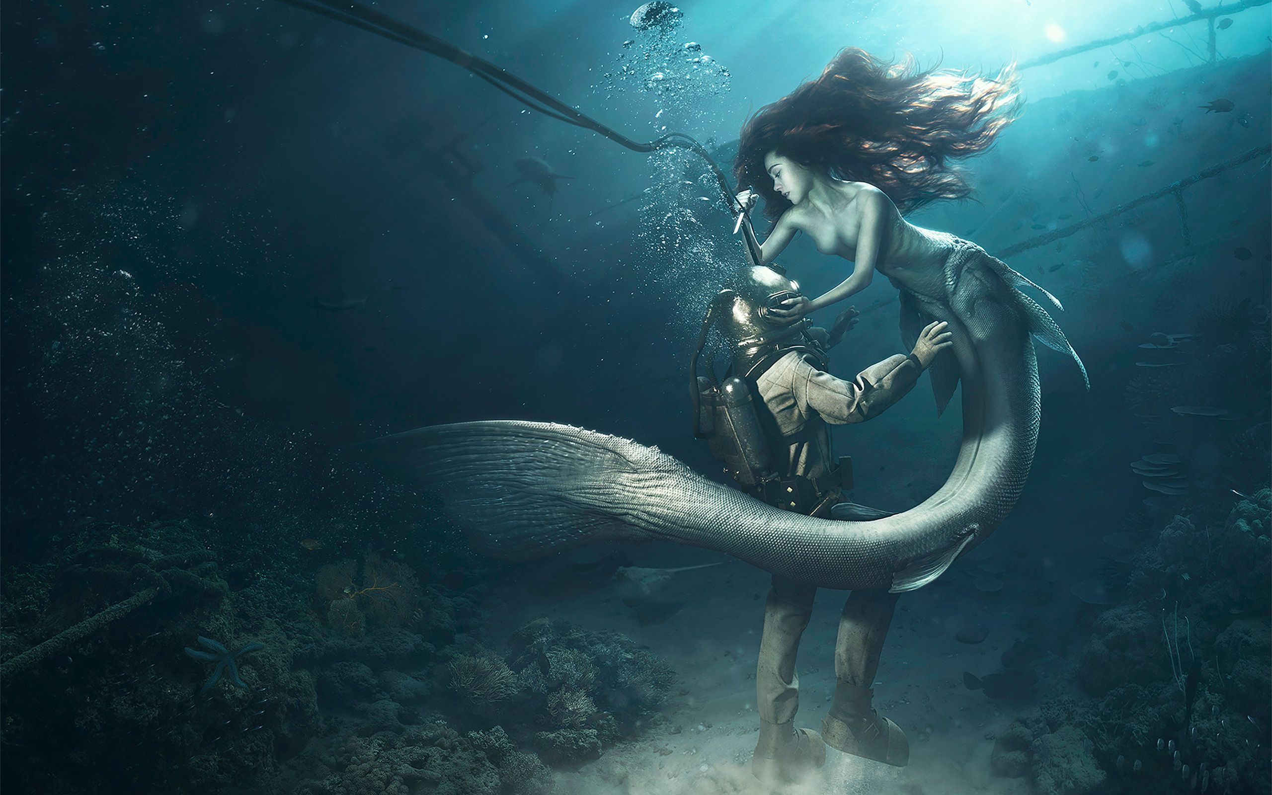 Sirena subacquea oceano blu, 2560x1600 WQXGA, Laptop