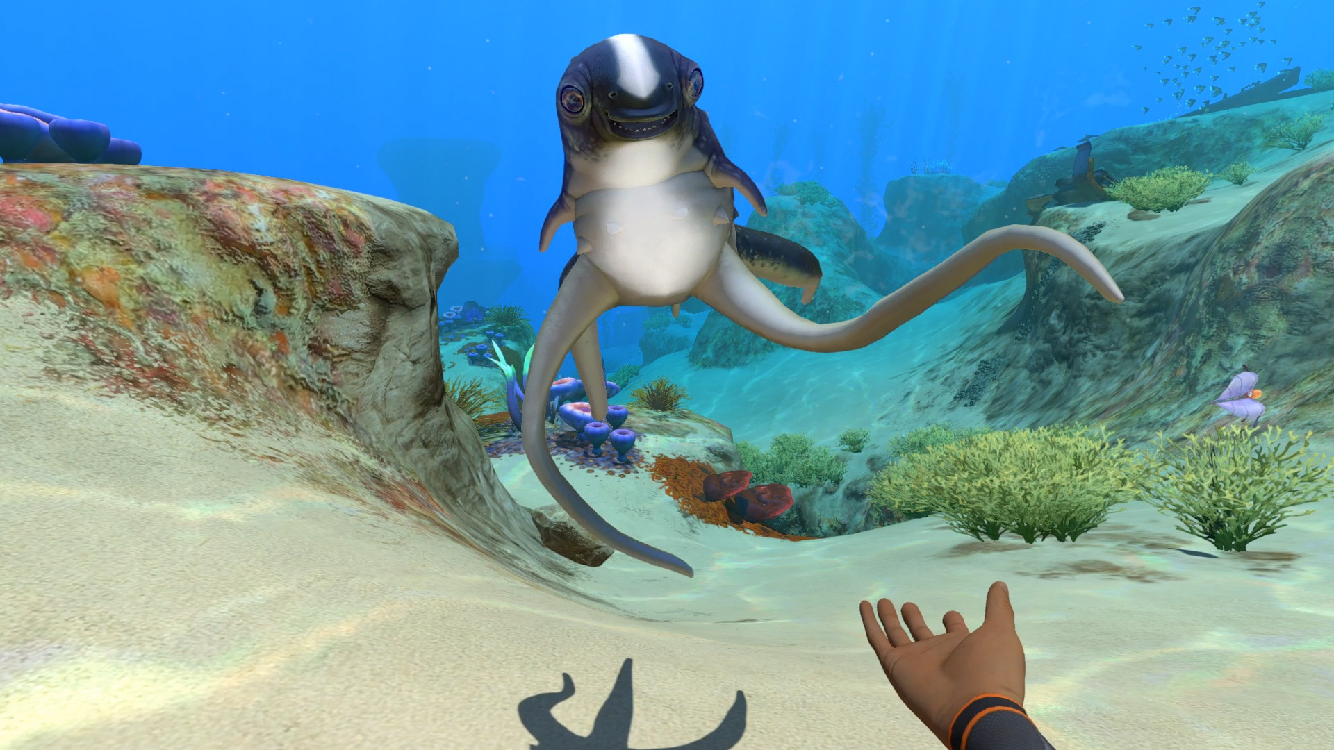 Stalker in acqua Subnautica, 1920x1080 Full HD 1080p, Desktop