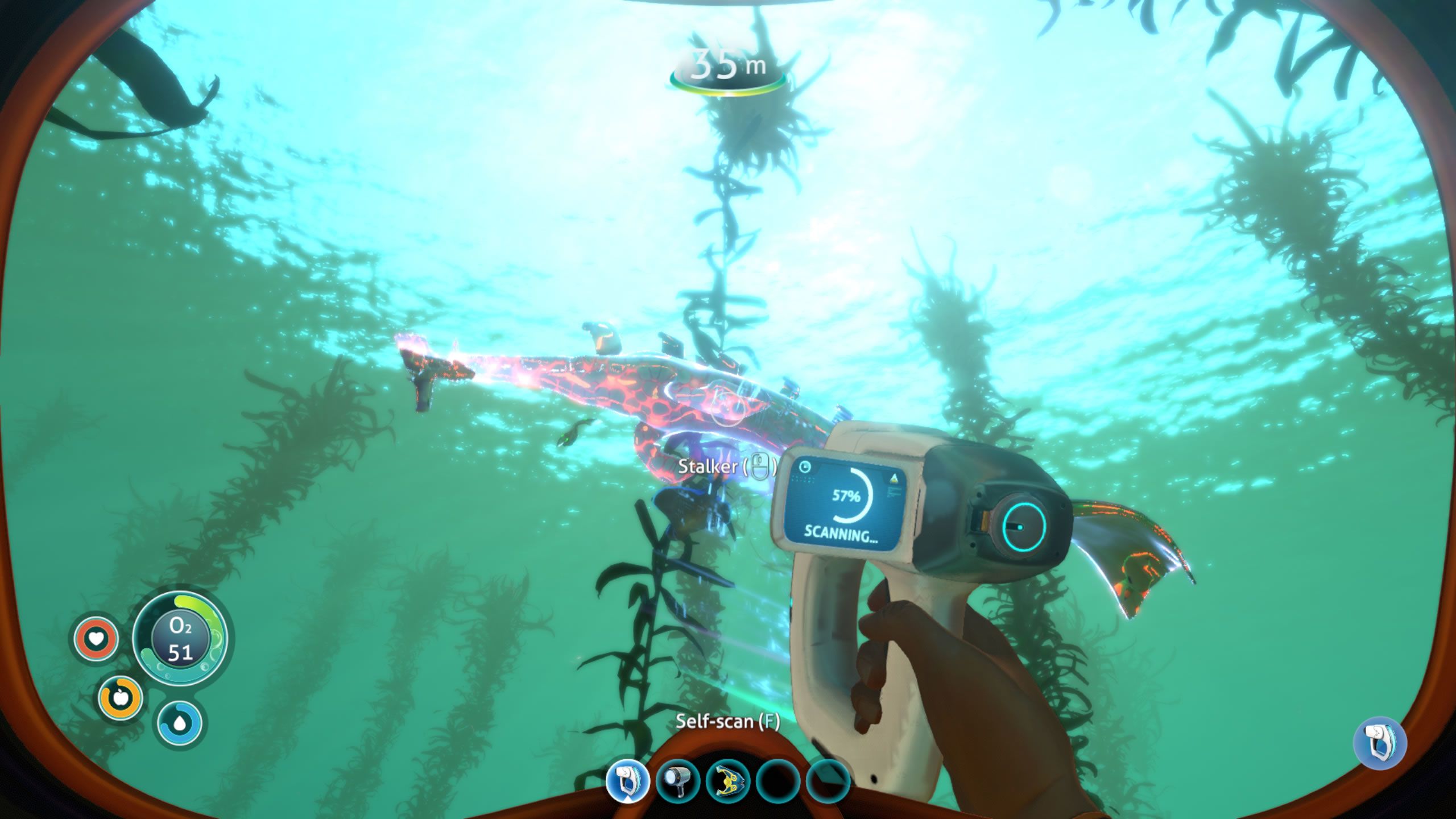 Stalker Subnautica creatura subacquea, 2560x1440 2K, Desktop