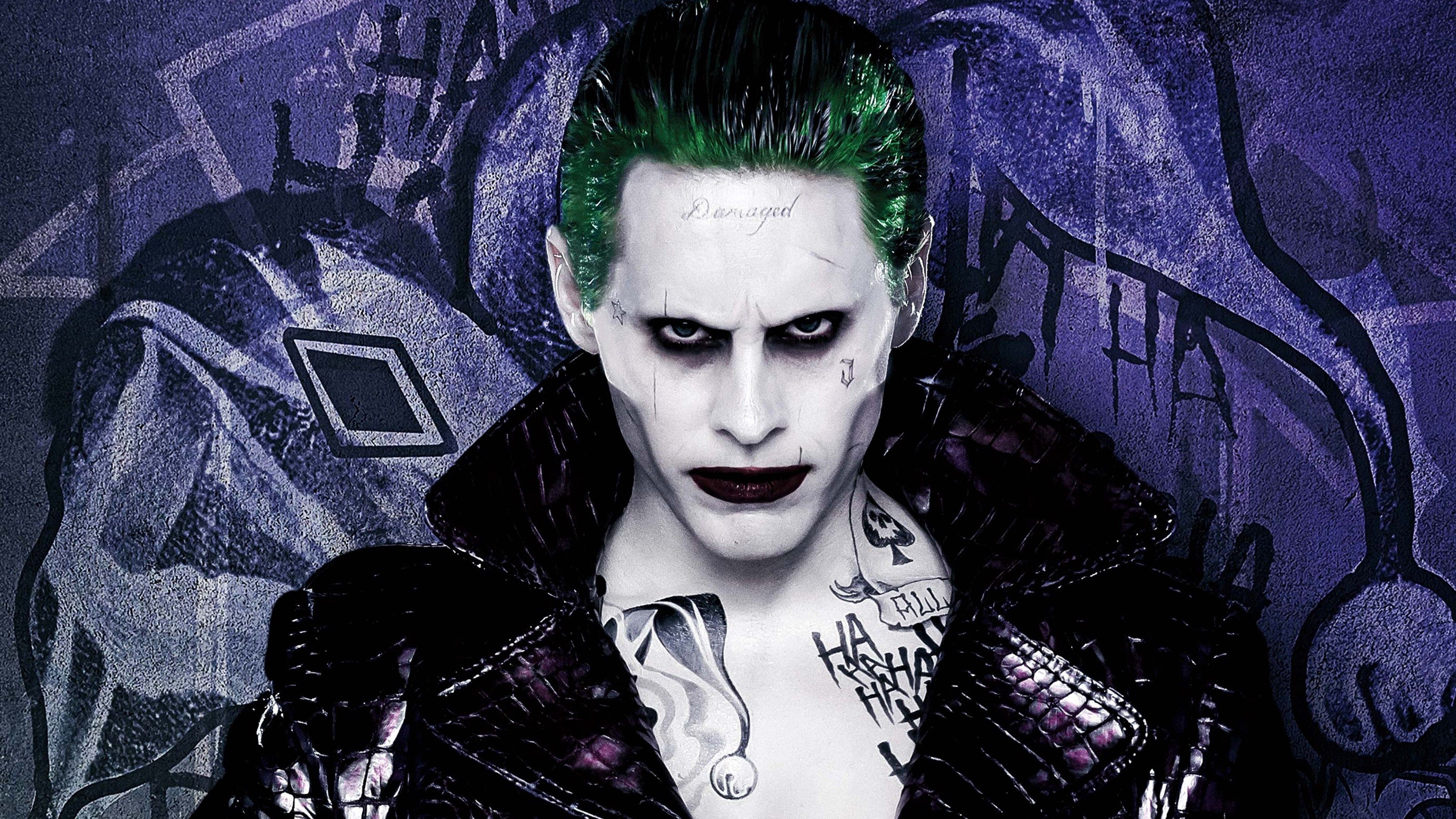 Joker Suicide Squad viola, nemesi di Batman, 3840x2160 4K Ultra HD, Monitor 4K