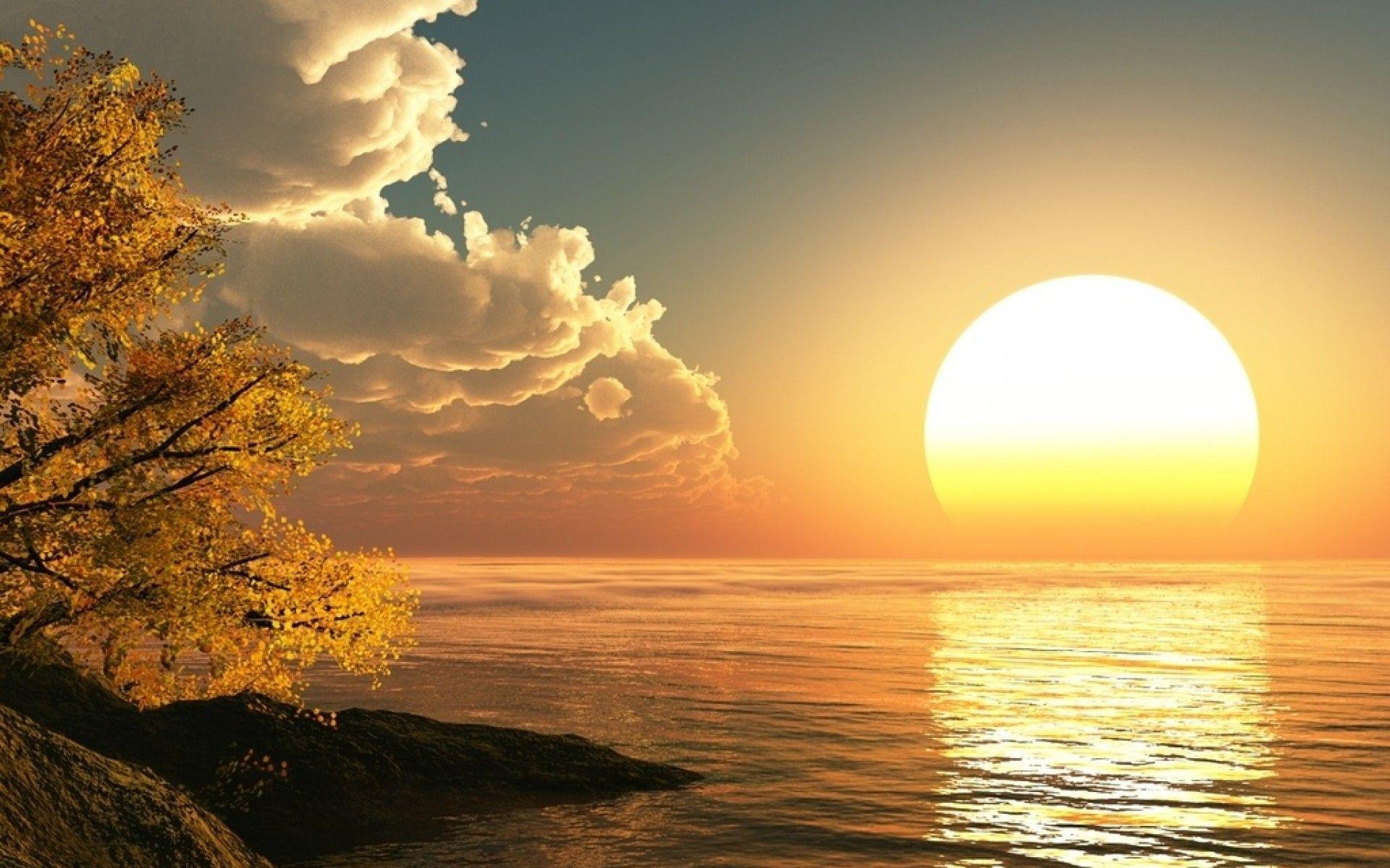 Alba sul mare con albero, 1920x1200 WUXGA, PC Desktop