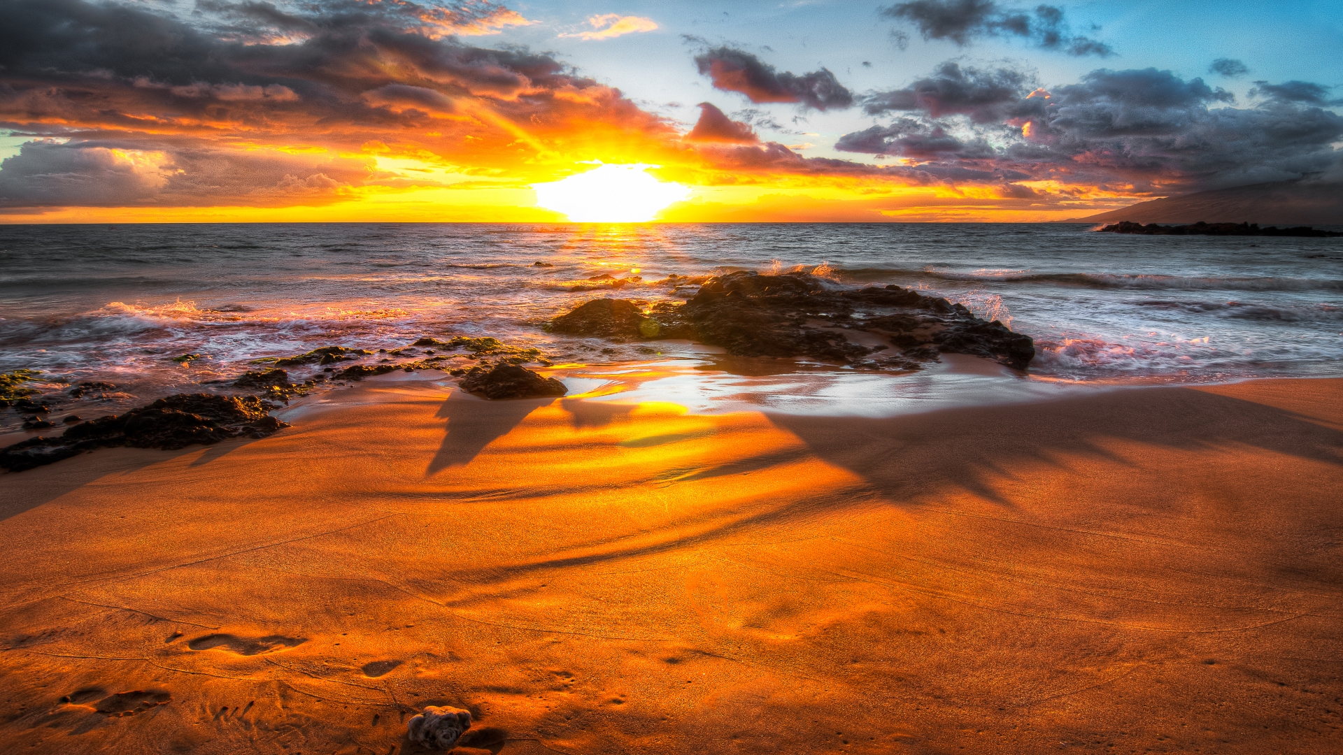 Alba sulla spiaggia con ombra palma, 1920x1080 Full HD, PC
