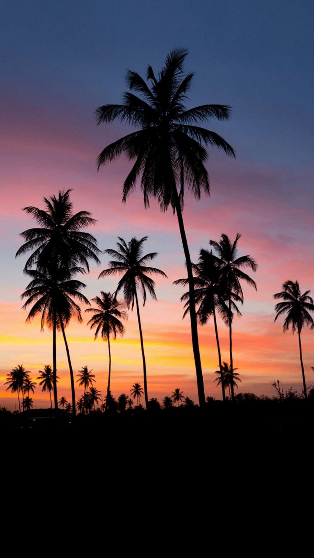 Palme silhouette tramonto tropicale, 1080x1920 Verticale, Telefono