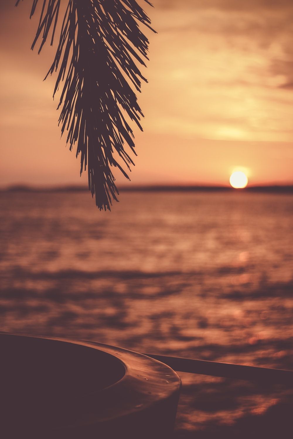 Tramonto tropicale con palma, 1000x1500 Full HD Verticale, iPhone