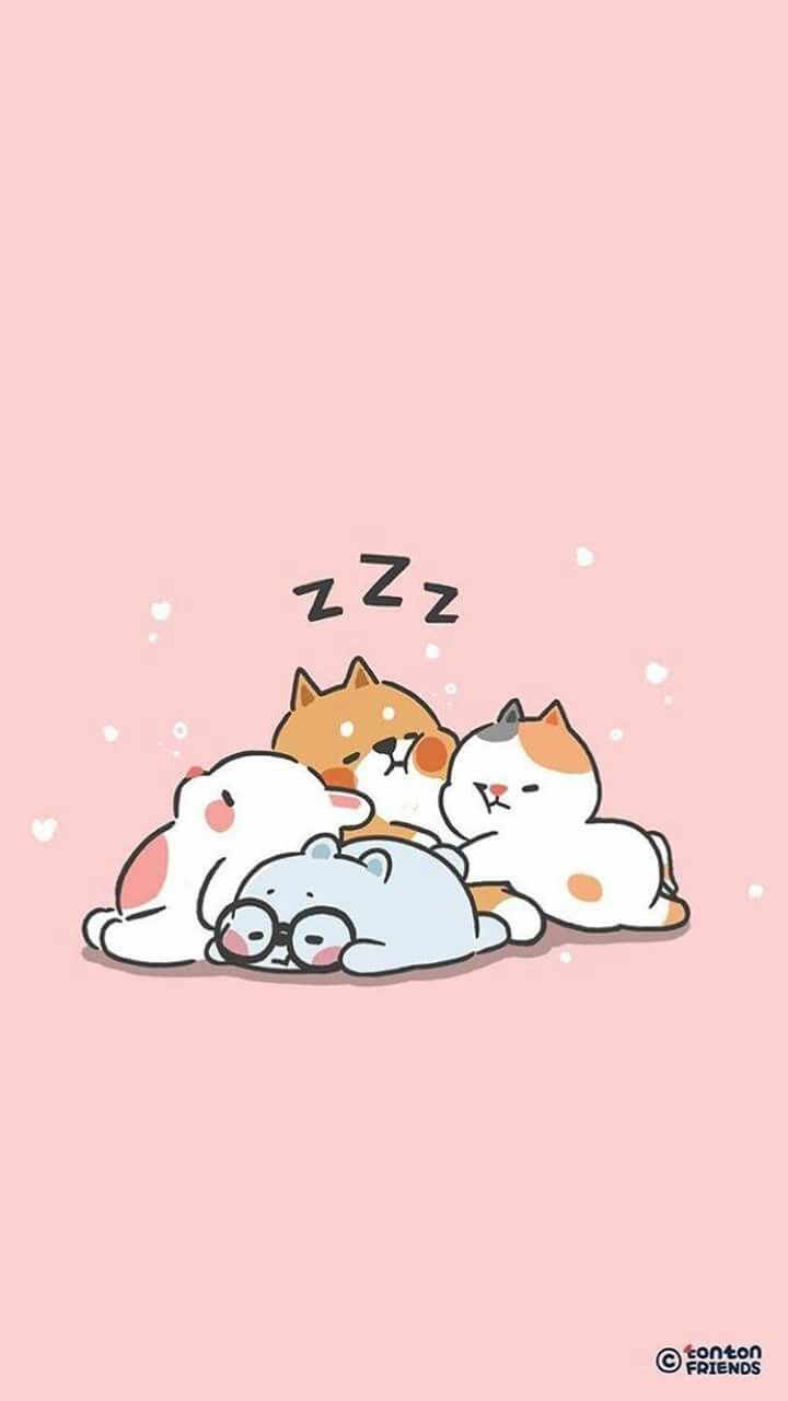 Tonton Friends animali che dormono, 720x1280 Full HD Verticale, Smartphone