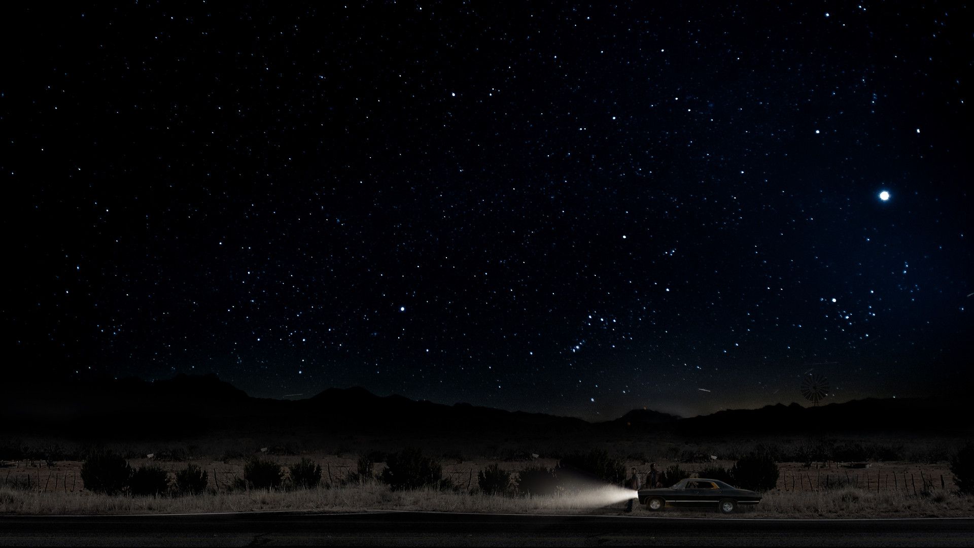 Impala sotto cielo stellato notturno, 1920x1080 Full HD 1080p, PC