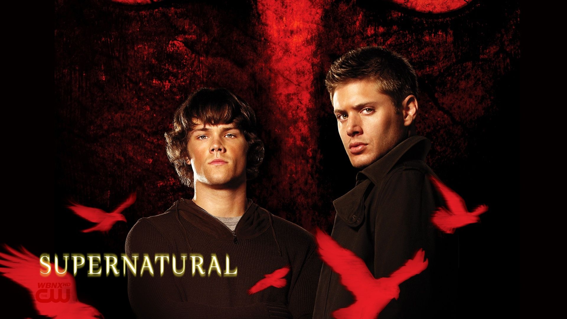 Sam e Dean Winchester Supernatural, 1920x1080 Full HD 1080p, Desktop