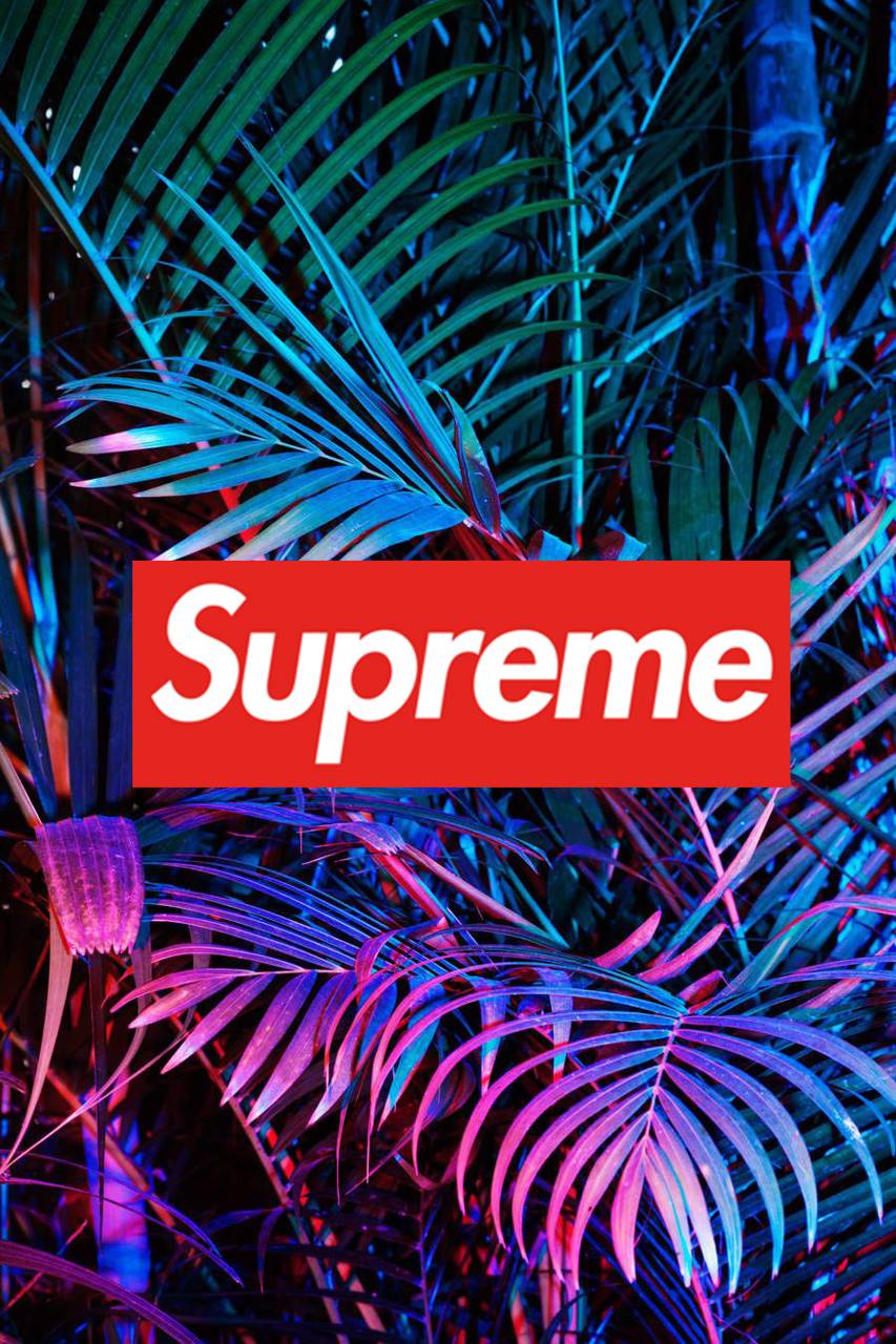 Logo Supreme foglie tropicali, 853x1280 Full HD Verticale, Smartphone