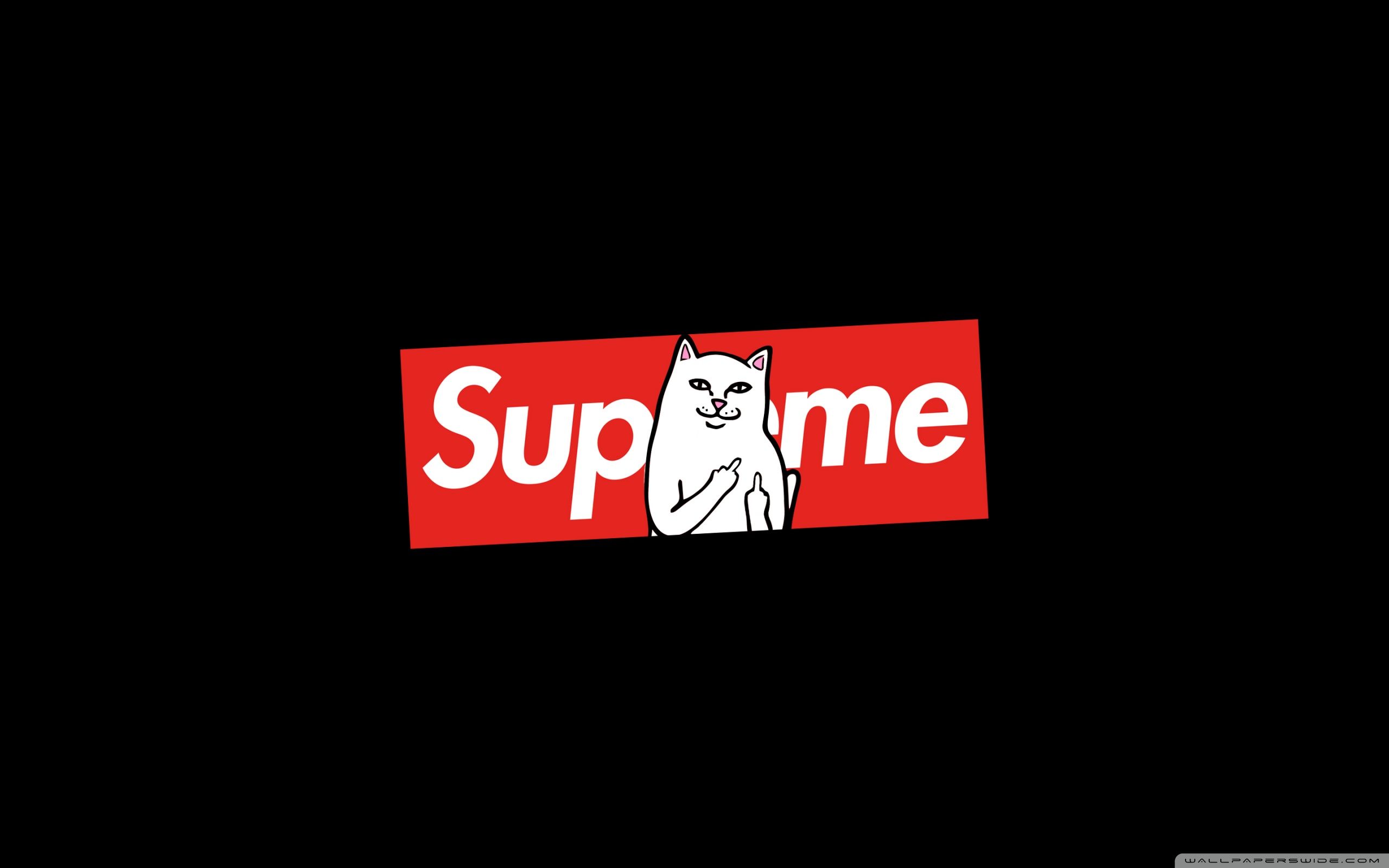 Logo Supreme con gatto, 2560x1600 2K+, MacBook Pro