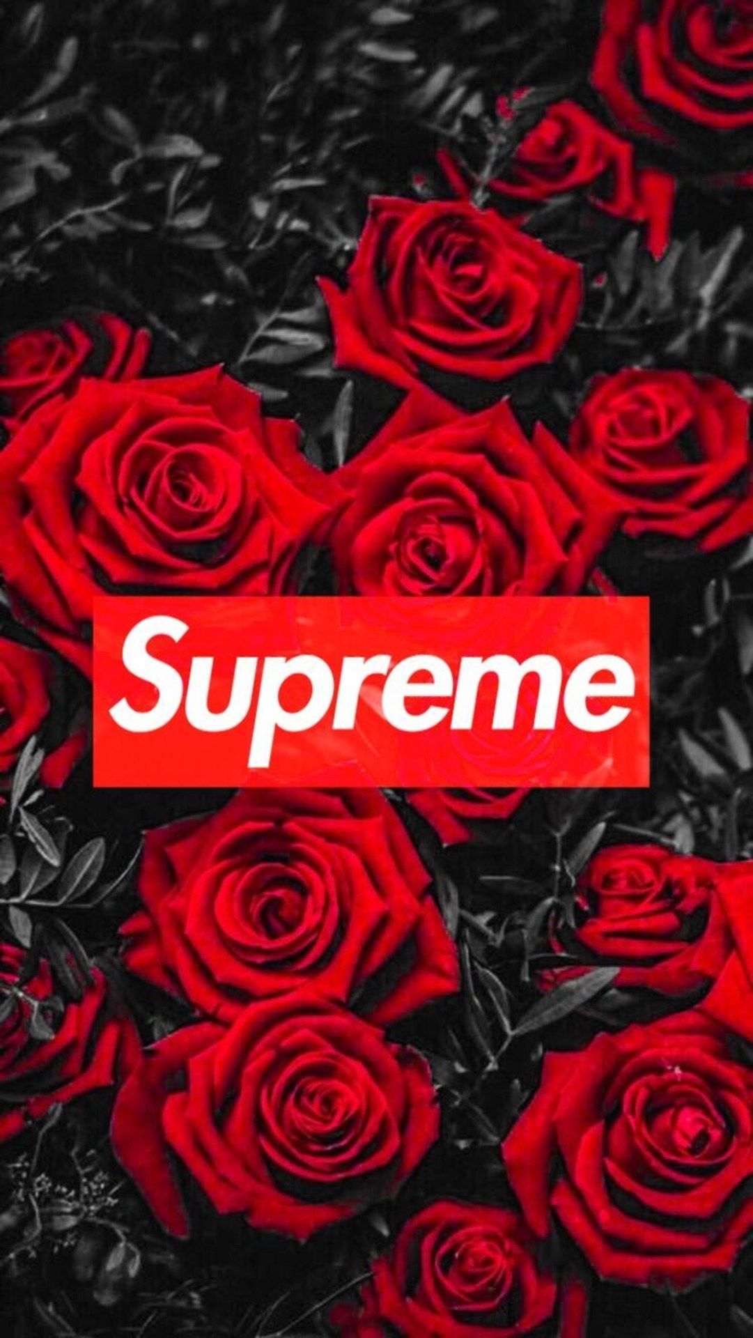 Logo Supreme rose rosse, 1081x1920 Full HD Verticale, iPhone Air