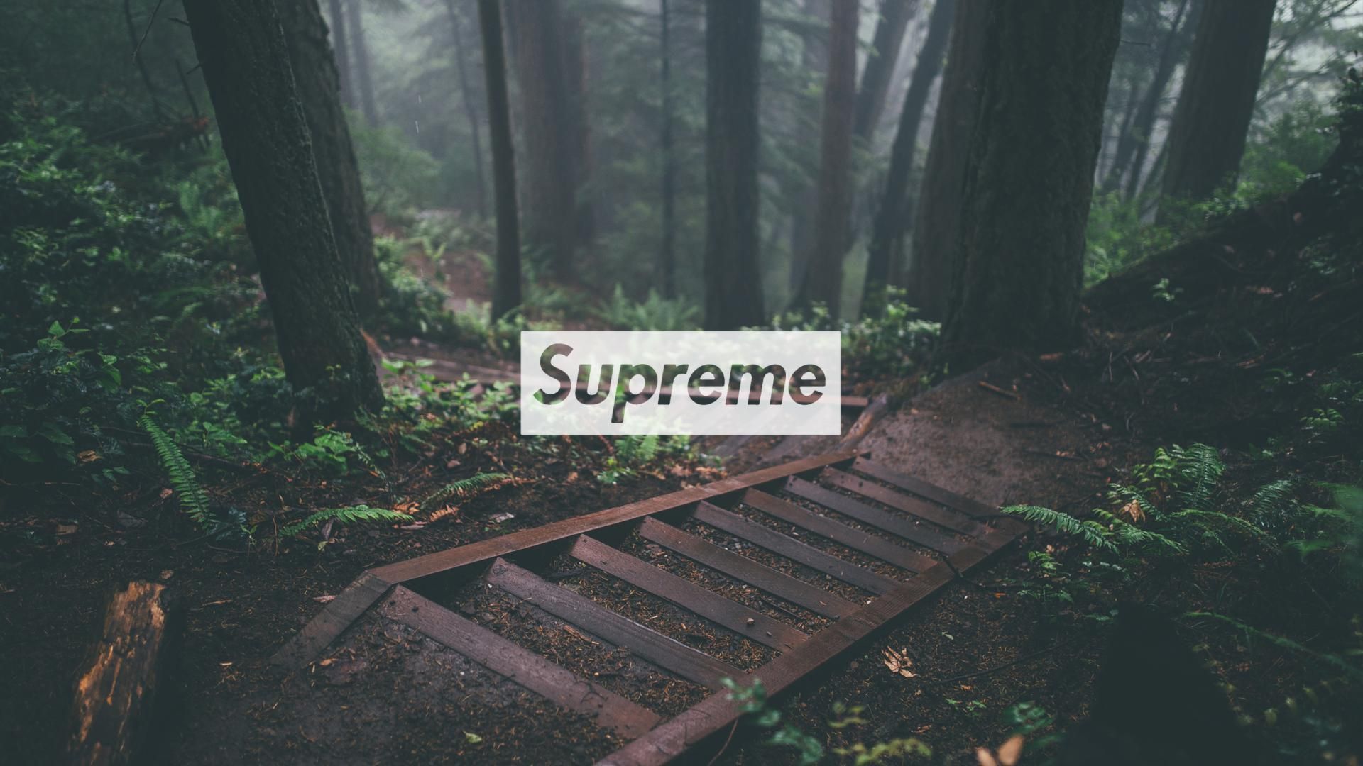Logo Supreme foresta nebbiosa, 1920x1080 1080p, Desktop