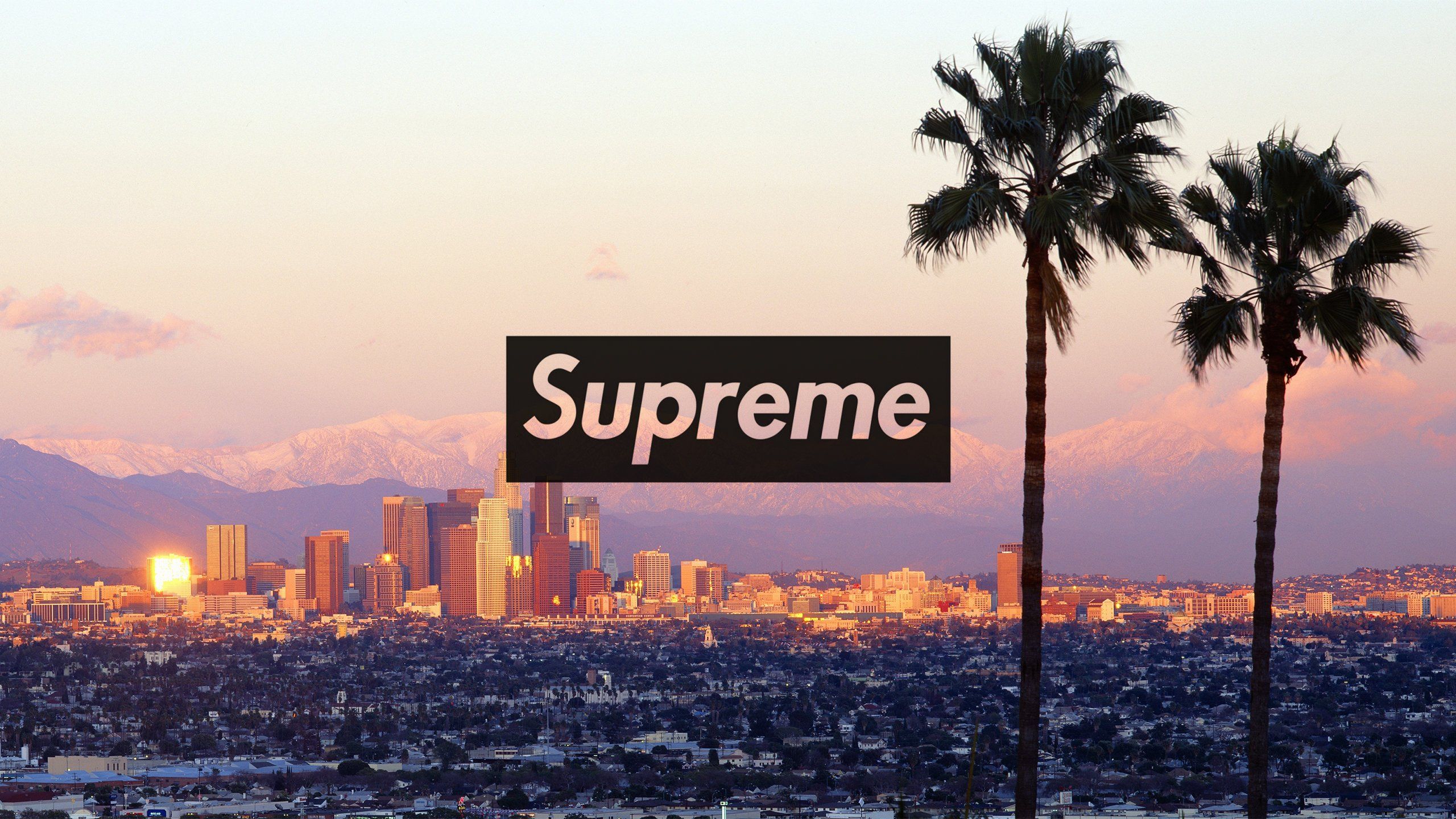 Logo Supreme skyline Los Angeles, California, 2560x1440 1440p, Desktop