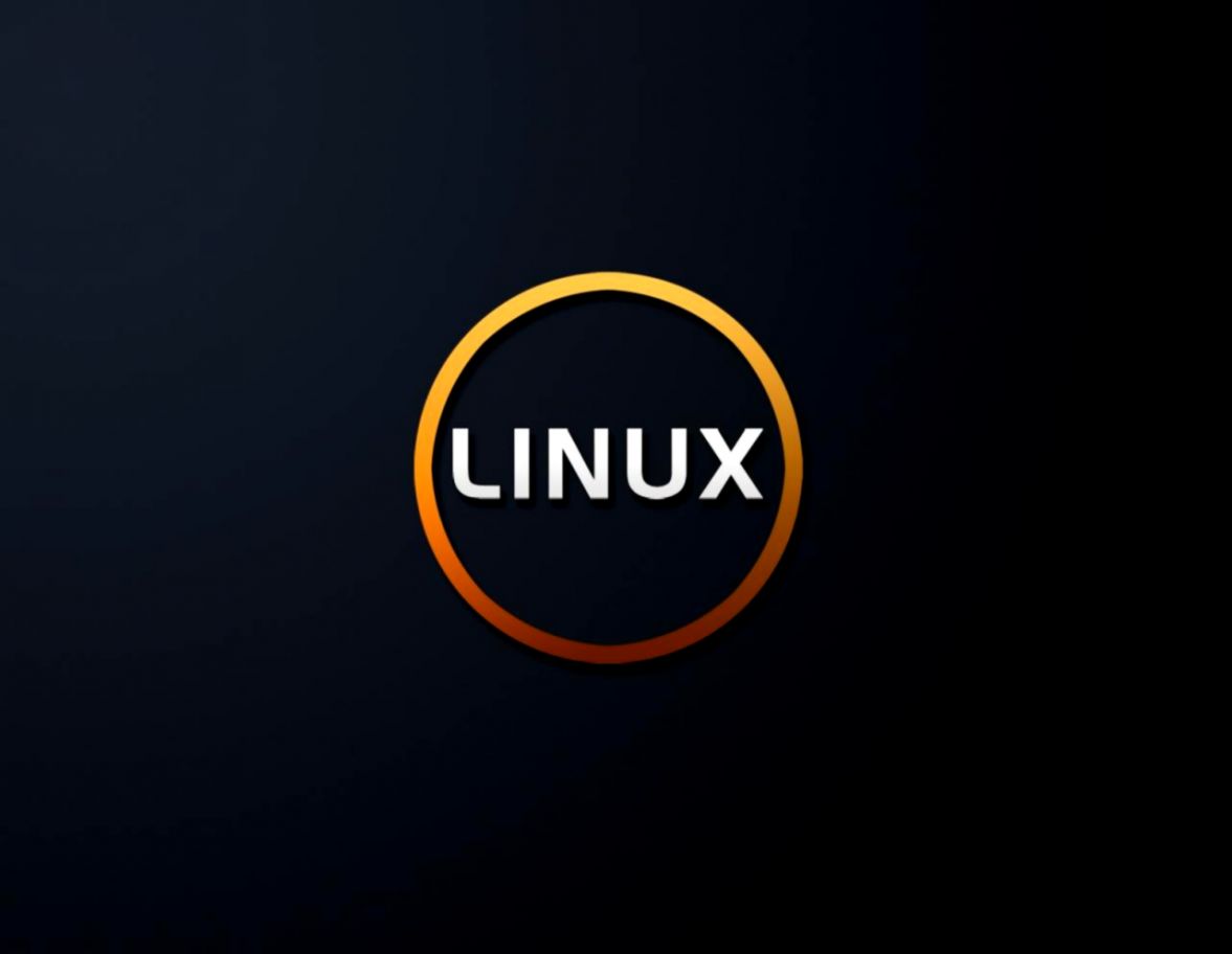 Logo Linux cerchio arancione, 1177x912 HD, Desktop
