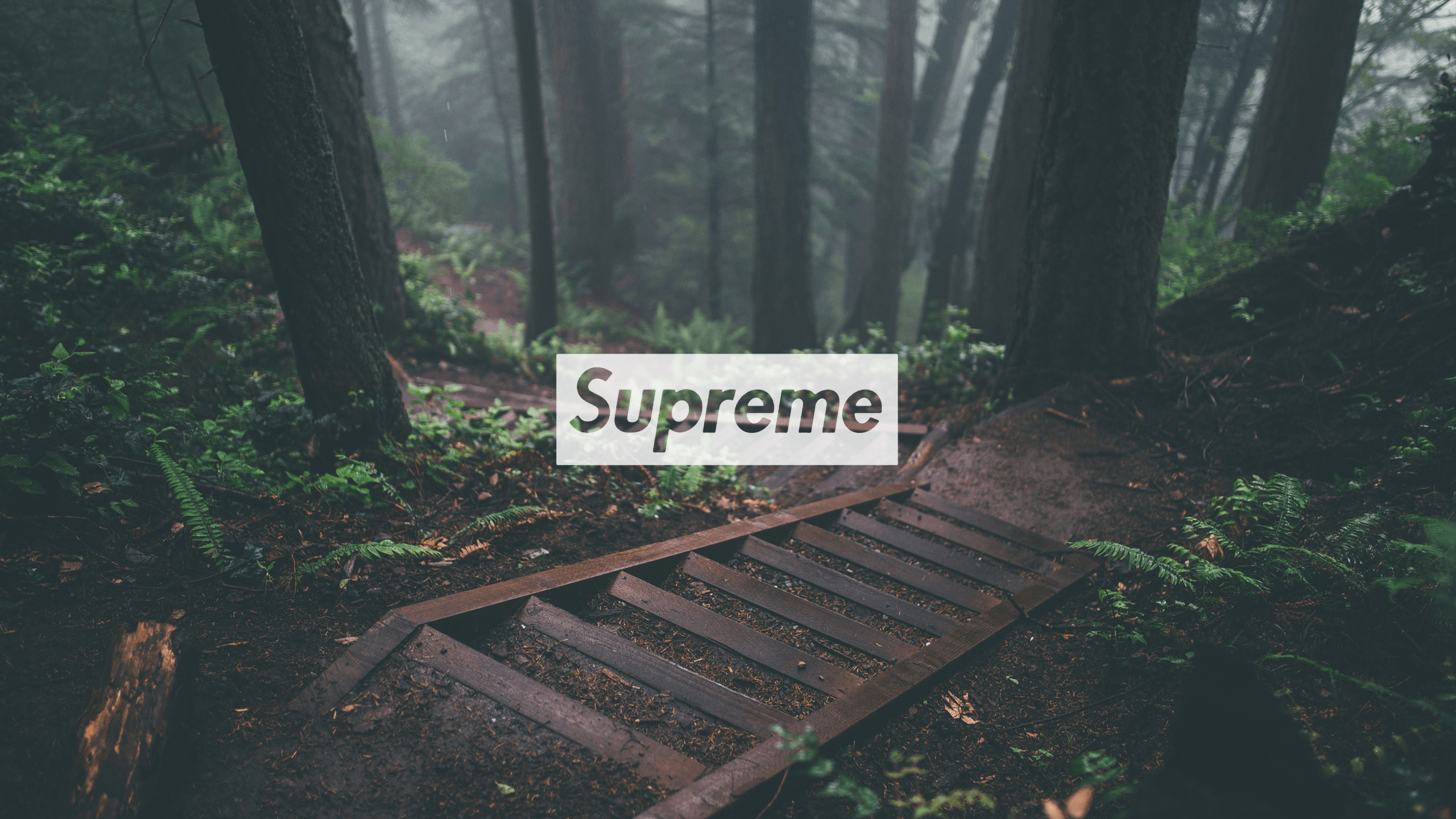Logo Supreme montagne innevate, 1920x1080 1080p, MacBook Air