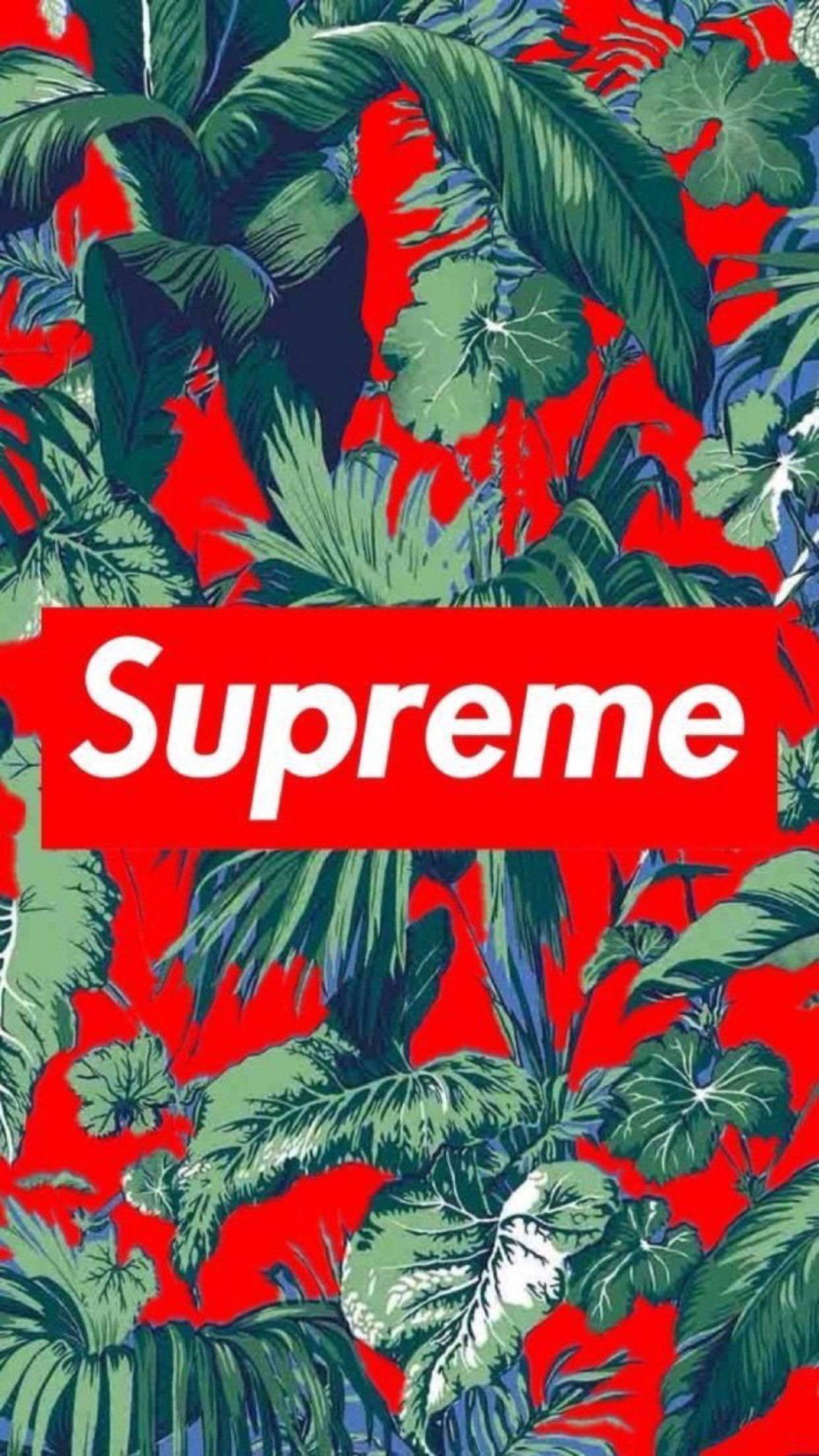 Logo Supreme foglie tropicali, New York, 1242x2208 Full HD Verticale, Smartphone