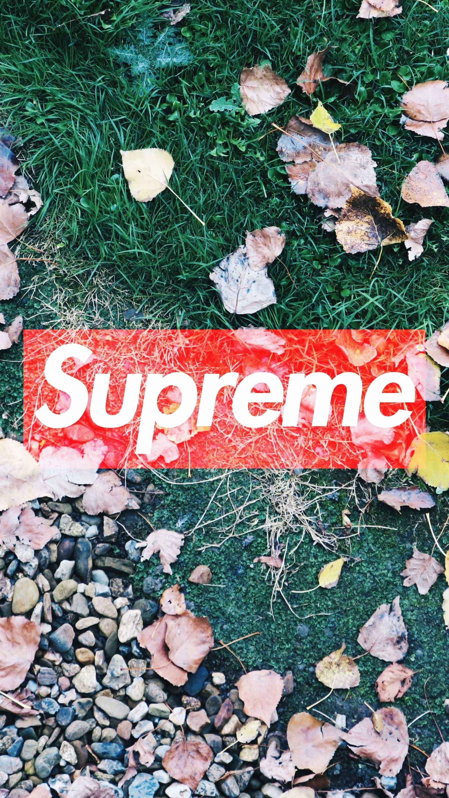 Logo Supreme box su foglie, 1769x3144 Full HD Verticale, iPhone
