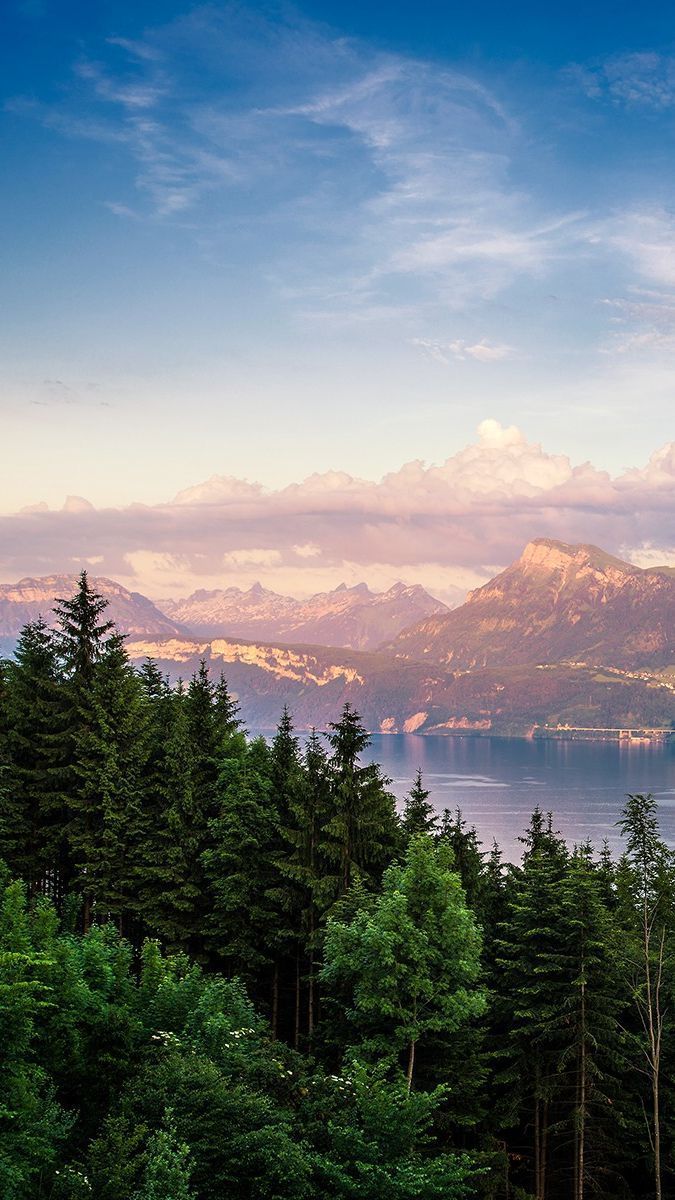 Alpi svizzere lago foresta, 675x1200 Full HD Verticale, iPhone Pro