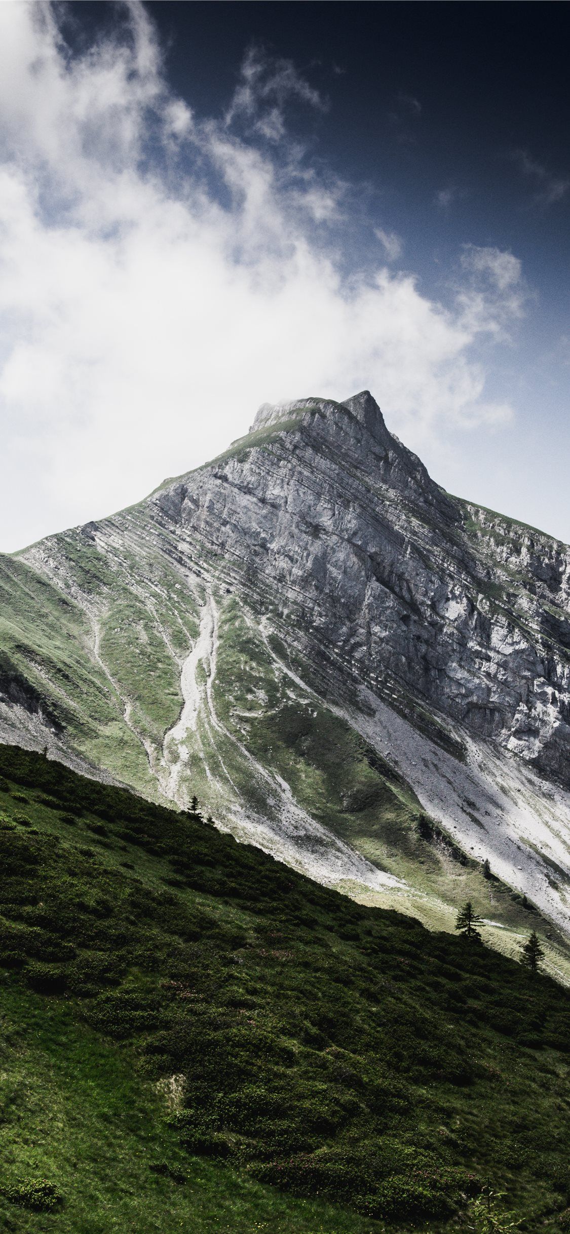 Cima montagna verde Svizzera, 1125x2436 Full HD Verticale, iPhone Pro Max