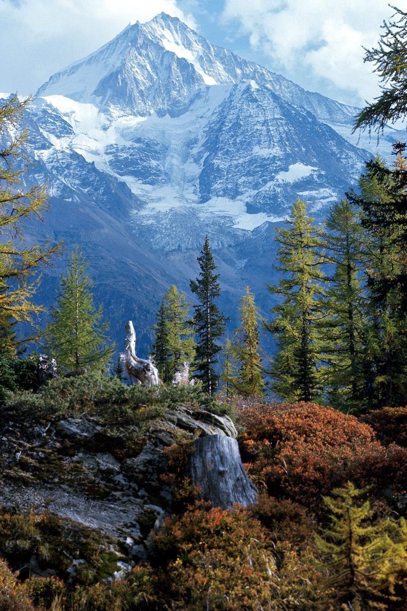 Montagna innevata alpina svizzera, 800x1200 Verticale, iPhone Pro