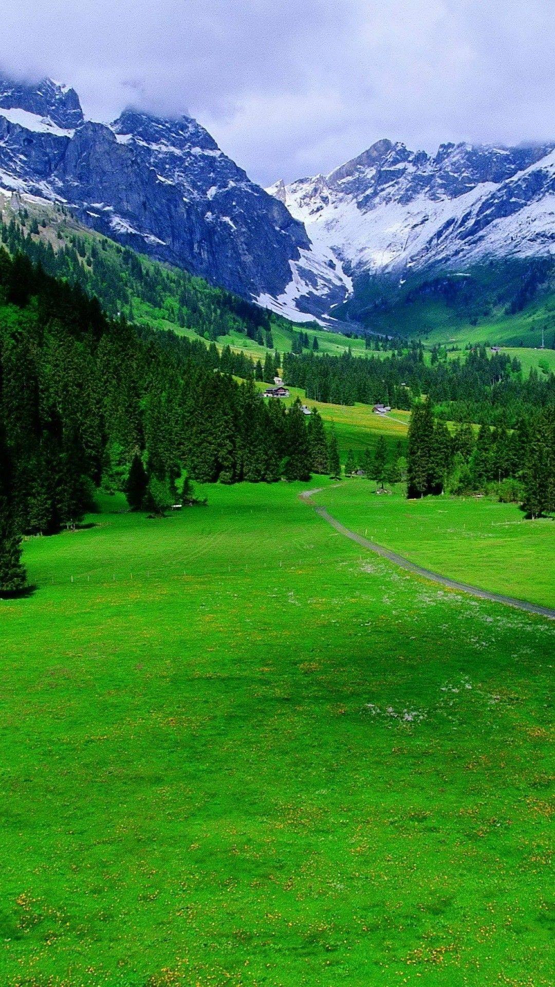 Valle alpina svizzera verde, 1080x1920 Verticale, iPhone