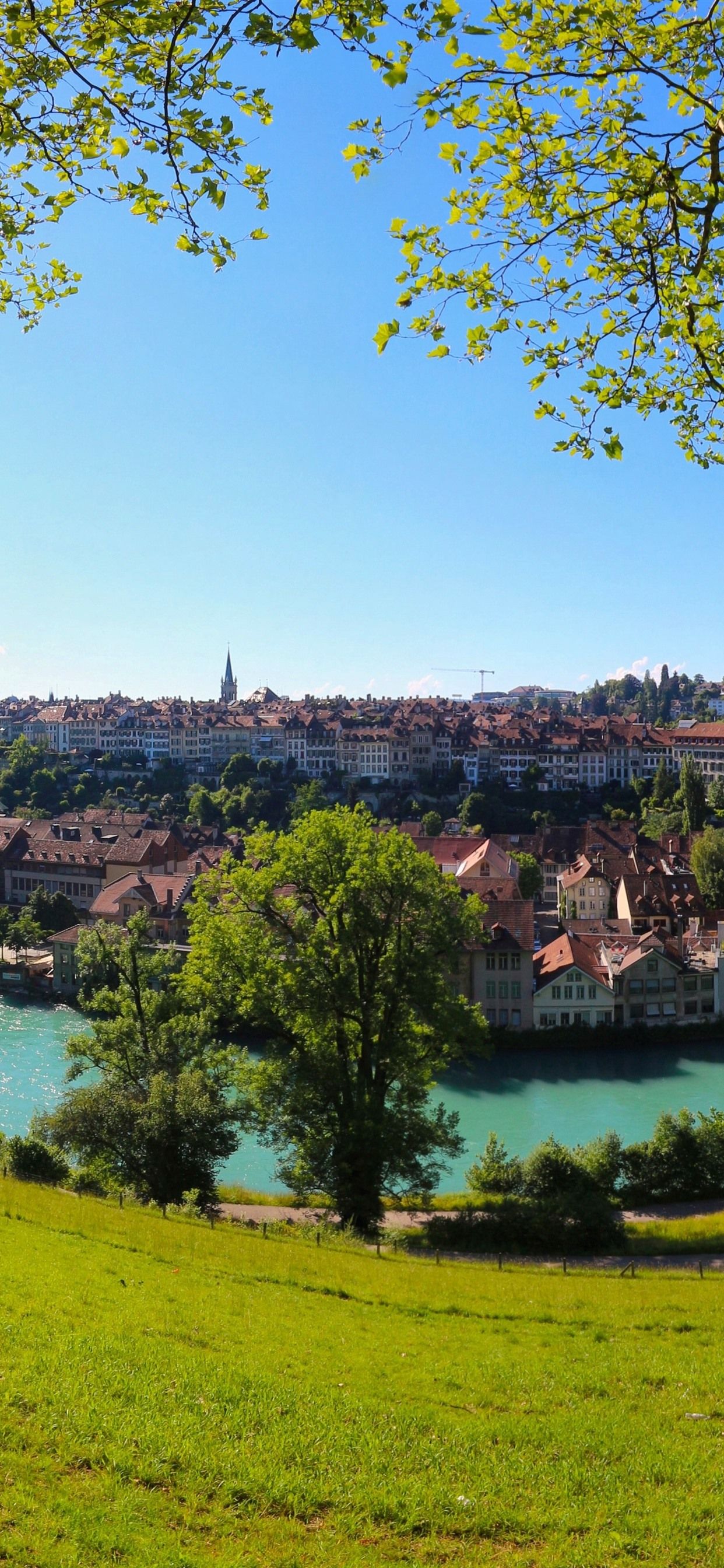 Berna, fiume Aare, Svizzera, 1242x2688 Full HD Verticale, iPhone Pro Max