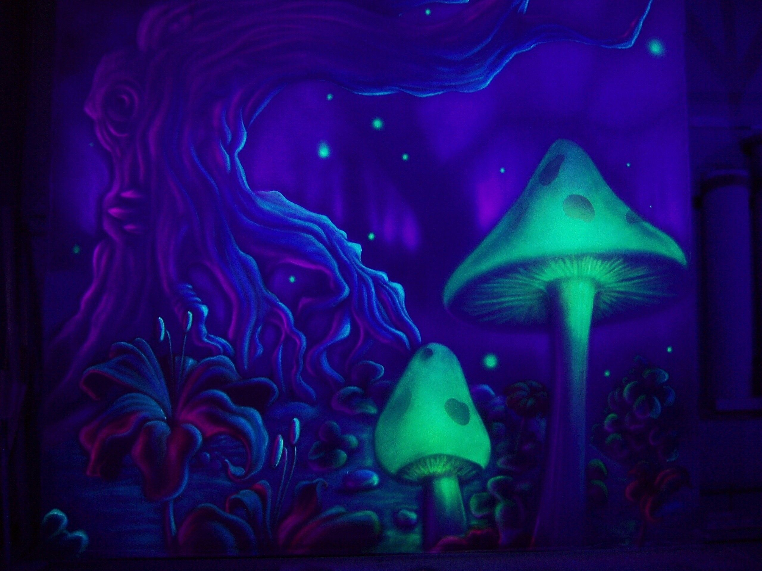 Funghi psichedelici bagliore viola, 2560x1920 2K+, PC