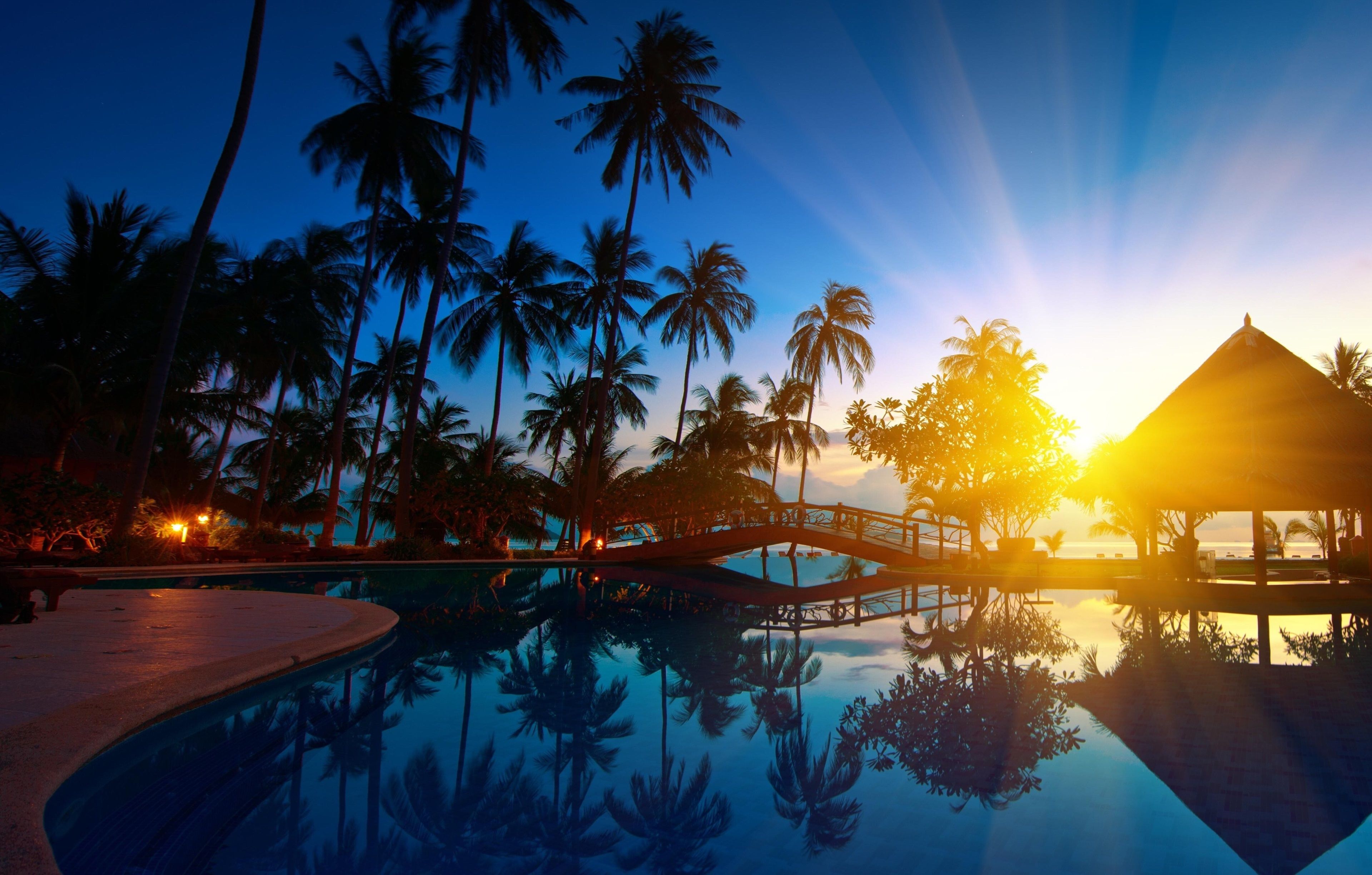 Tramonto tropicale piscina palme, 3840x2449 Ultra HD, PC