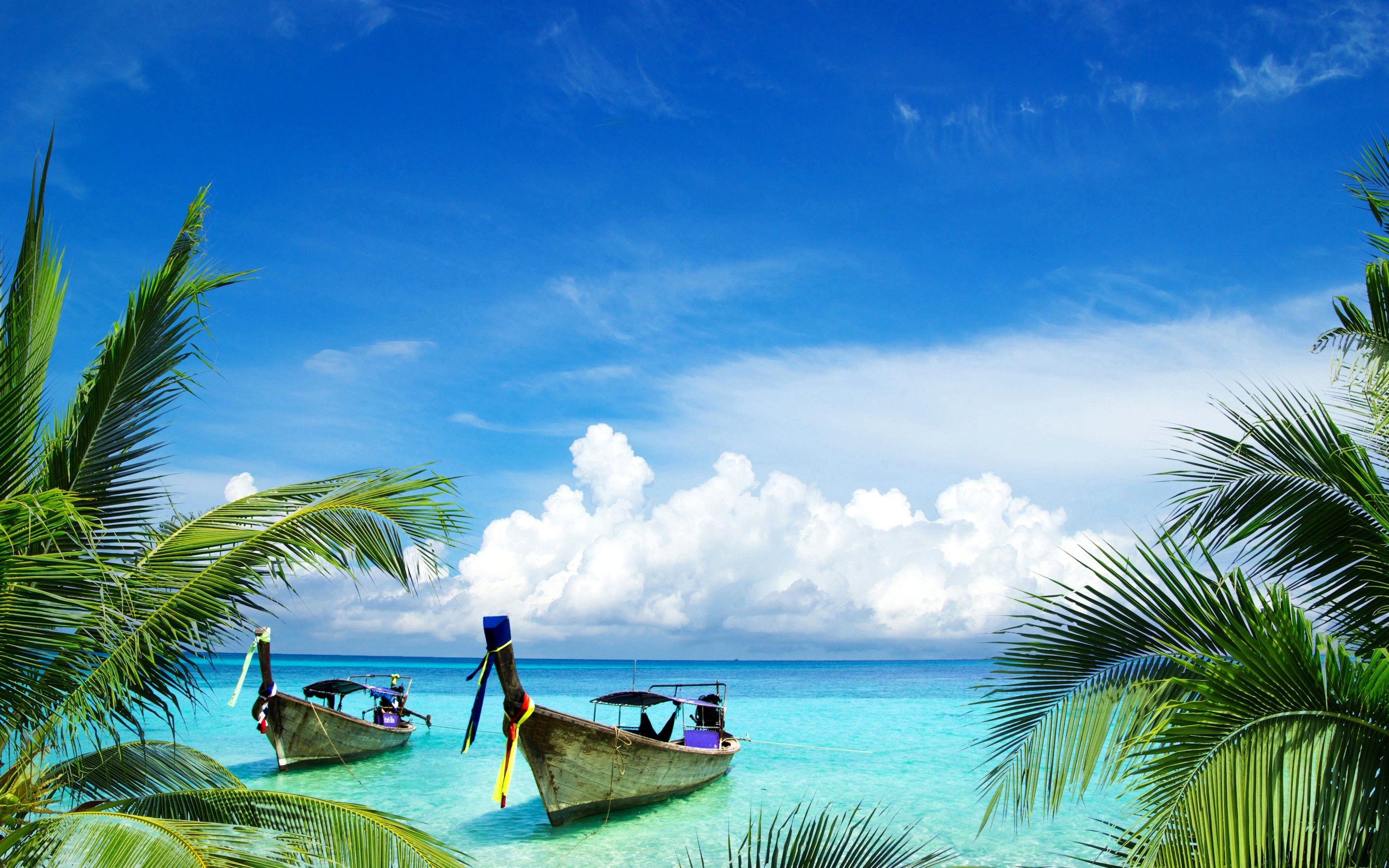 Barche thailandesi tra palme, 2880x1800 2K, Monitor Gaming